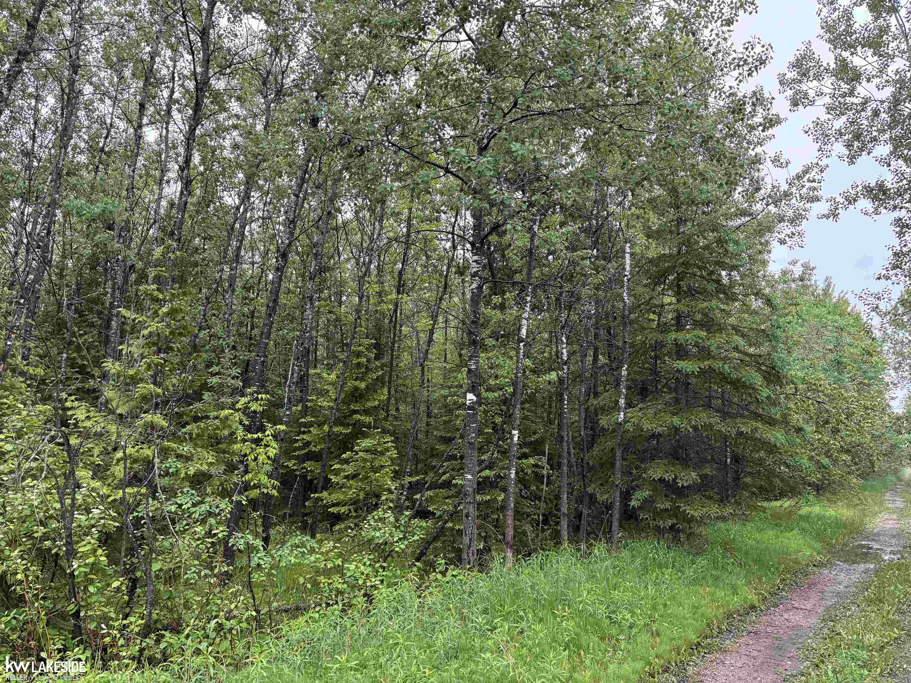 14027 Goebel Road Property Photo 4