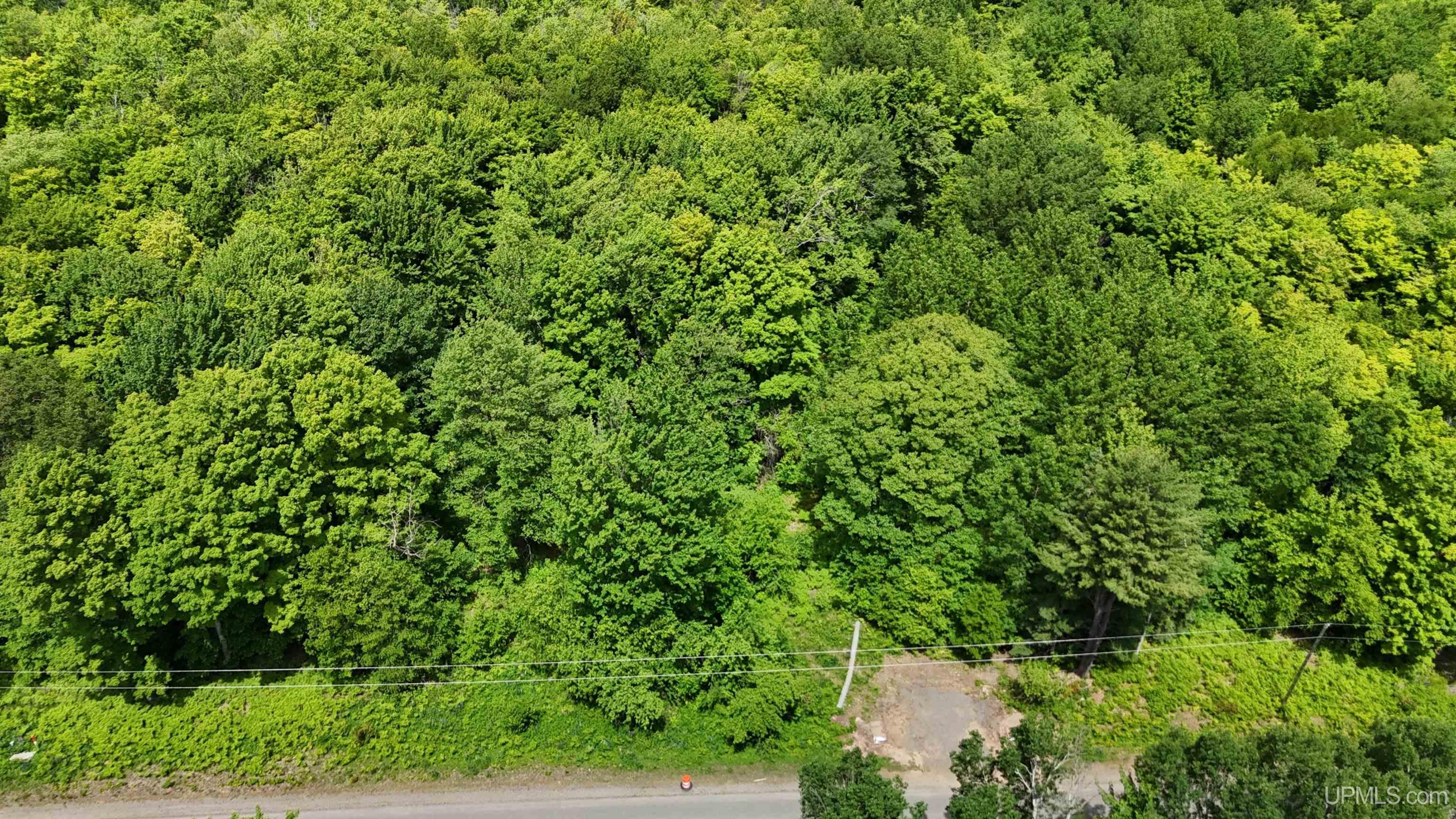 Tbd20 Skanee Road Property Photo 2