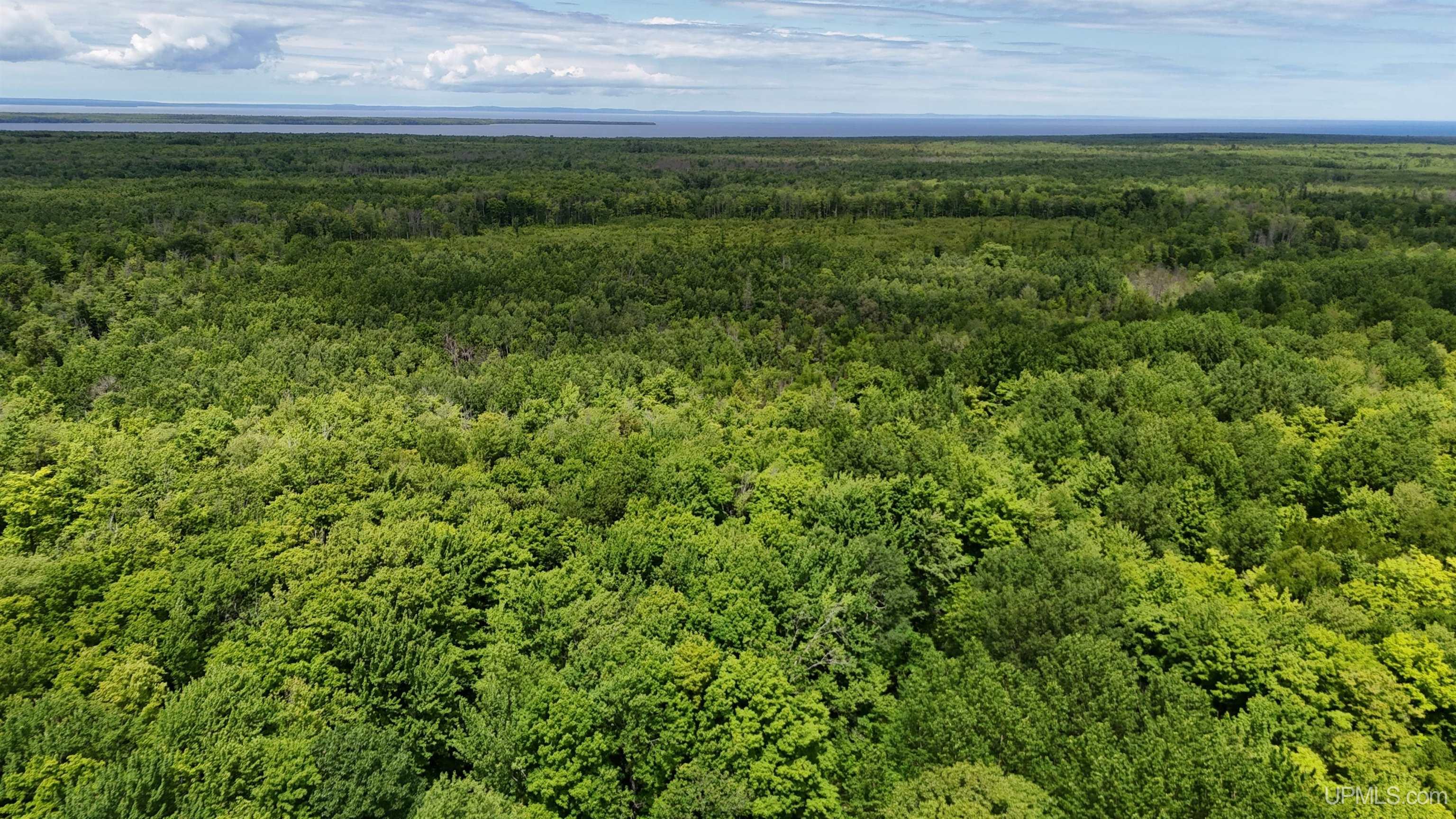 Tbd20 Skanee Road Property Photo 3