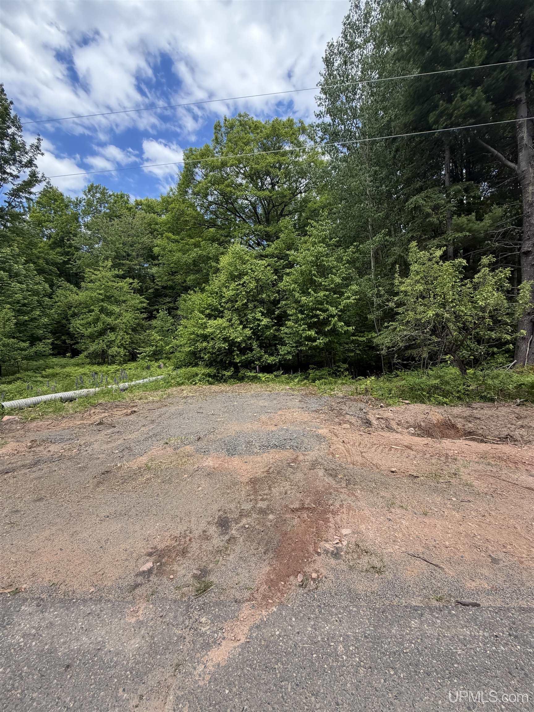Tbd20 Skanee Road Property Photo 9