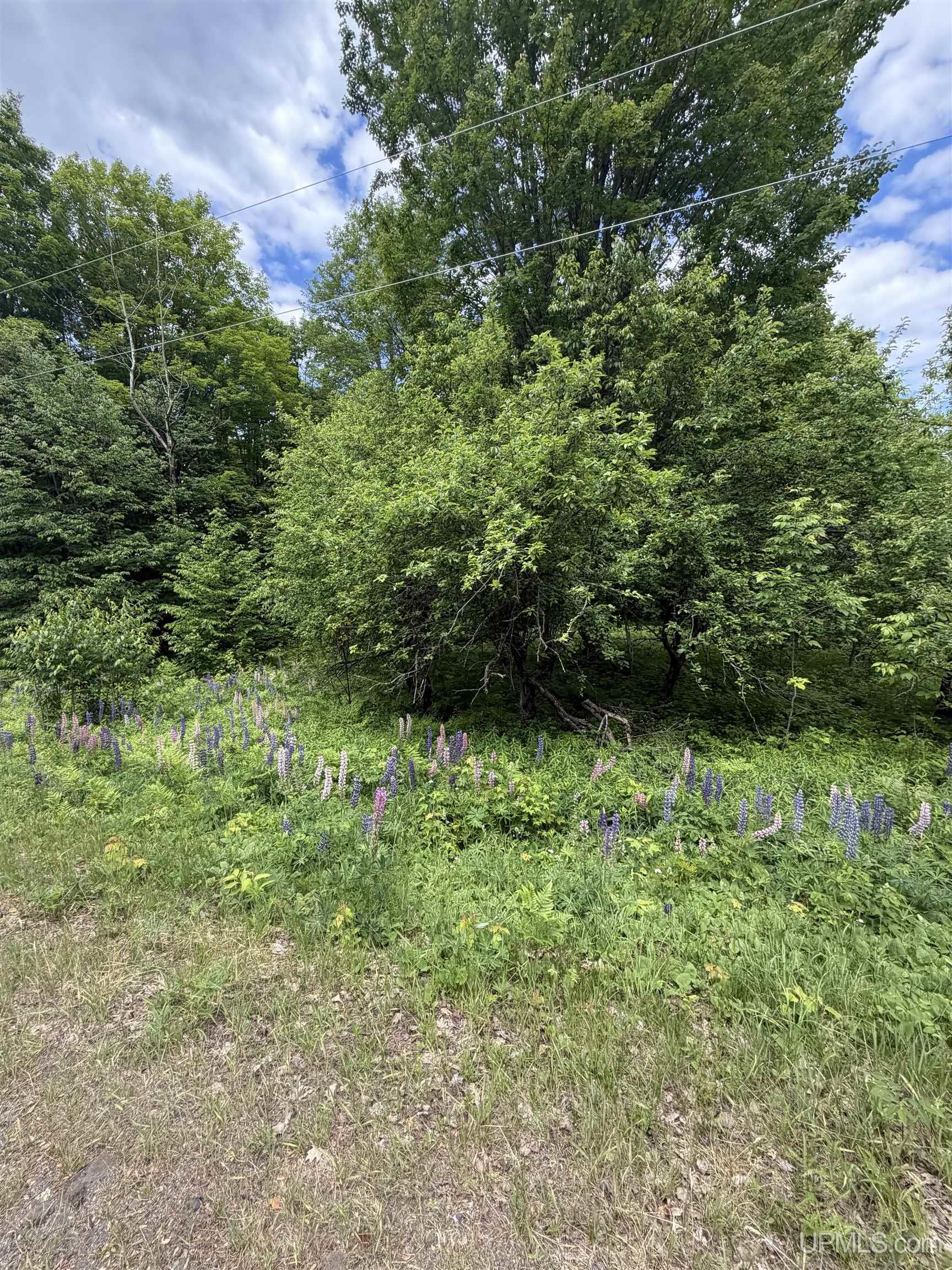 Tbd20 Skanee Road Property Photo 10