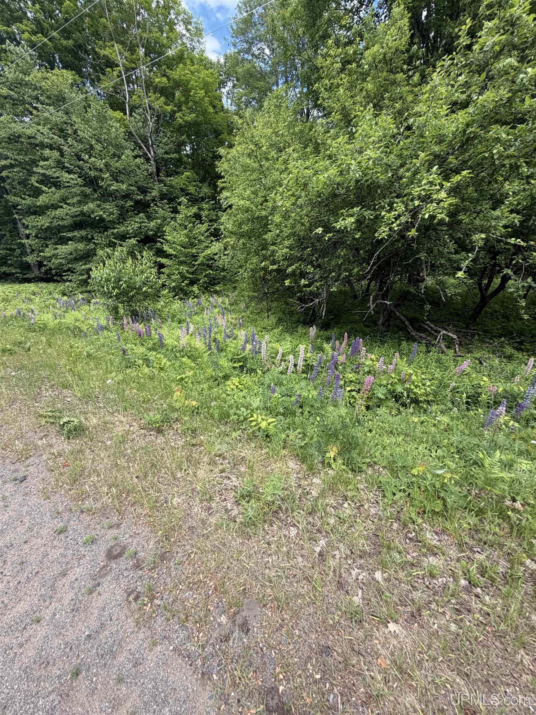 Tbd20 Skanee Road Property Photo 11