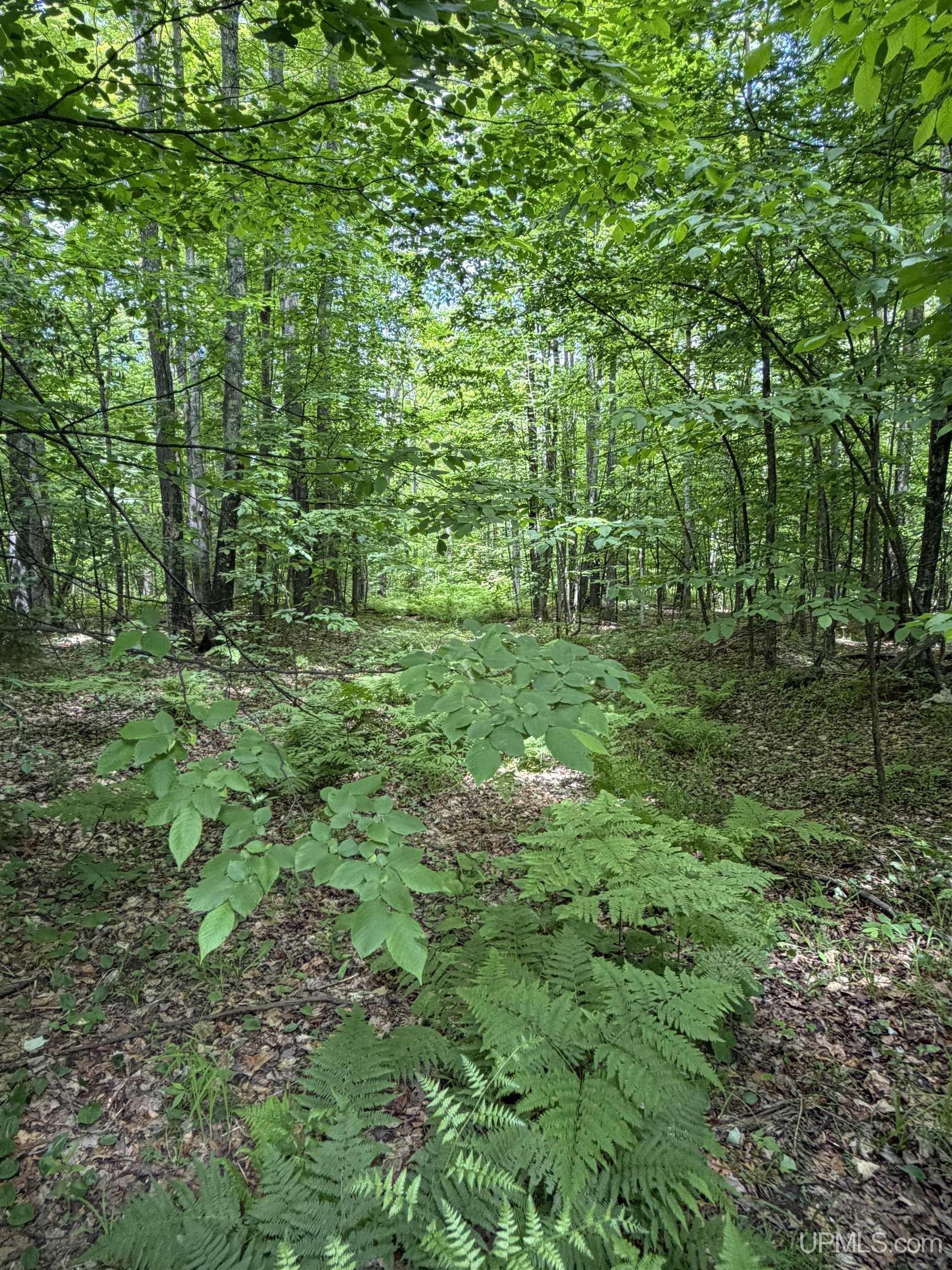 Tbd20 Skanee Road Property Photo 13