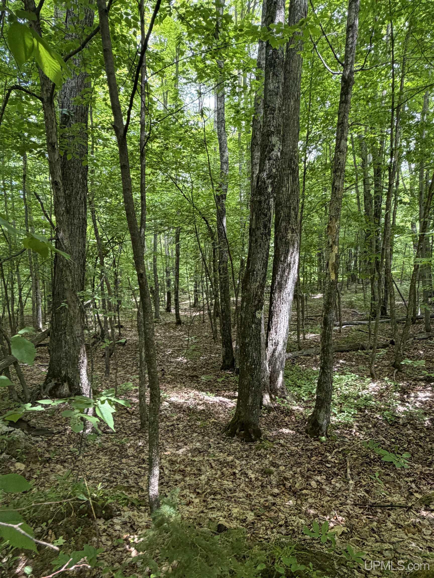 Tbd20 Skanee Road Property Photo 14