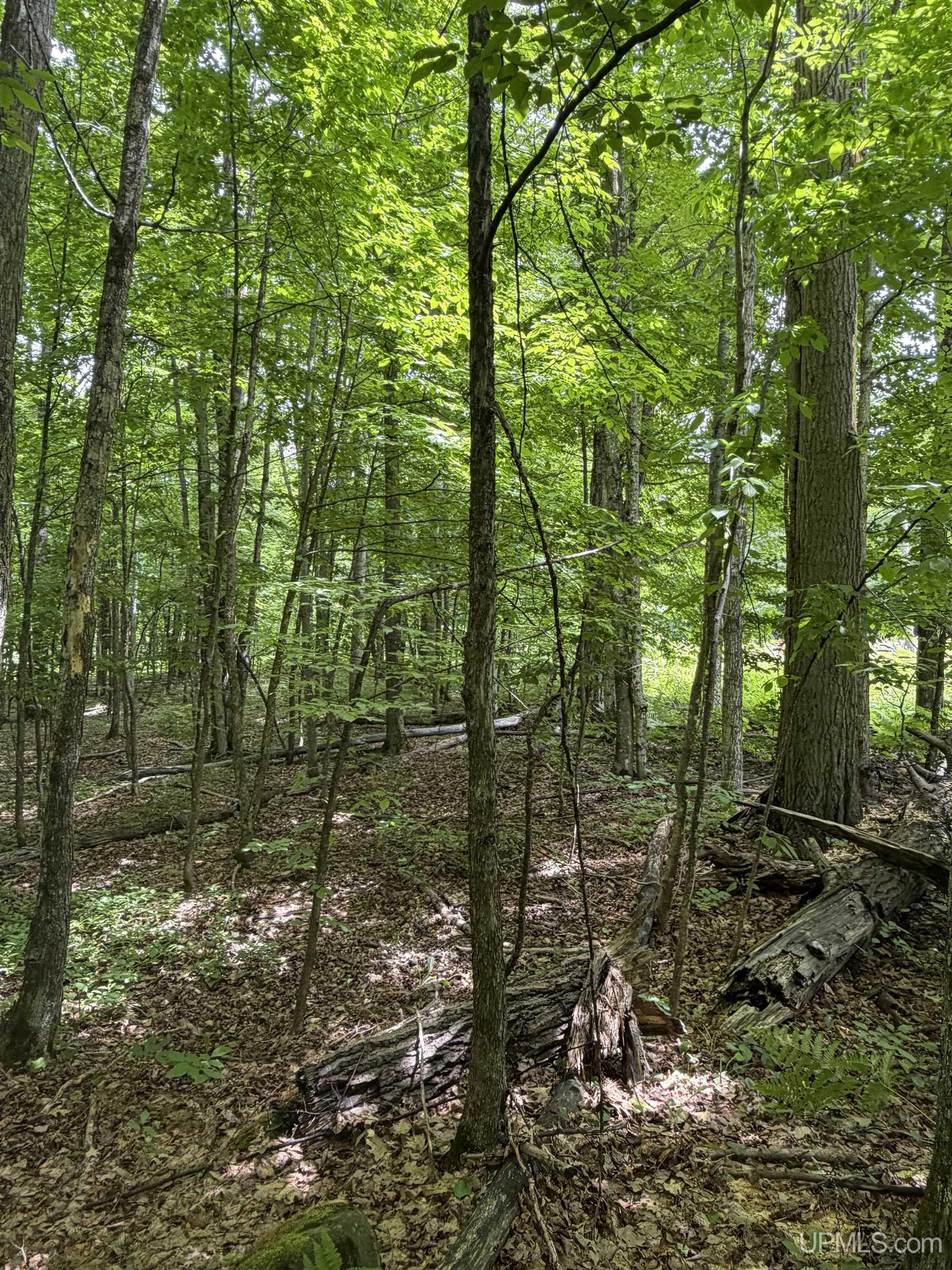 Tbd20 Skanee Road Property Photo 15