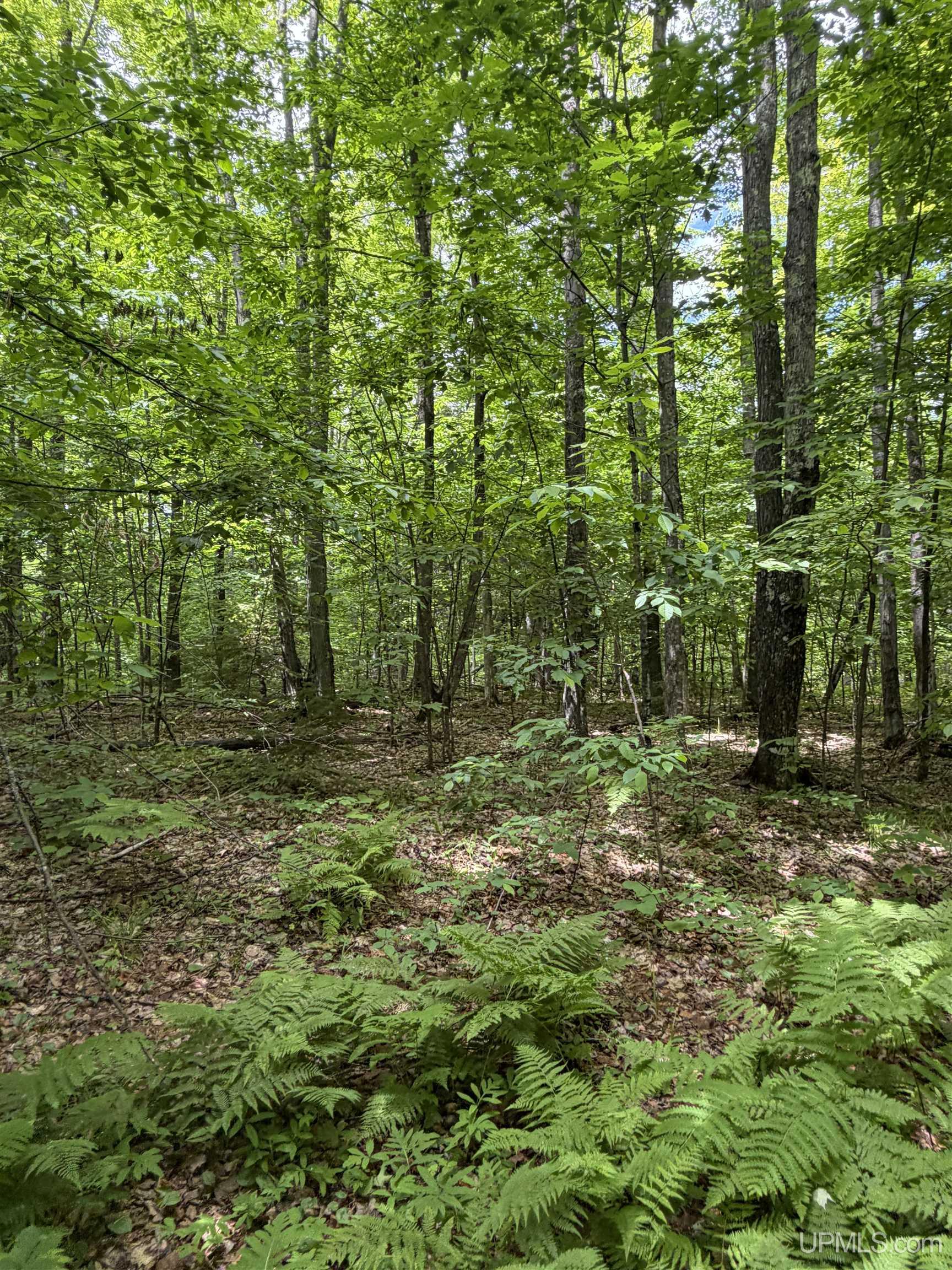 Tbd20 Skanee Road Property Photo 16