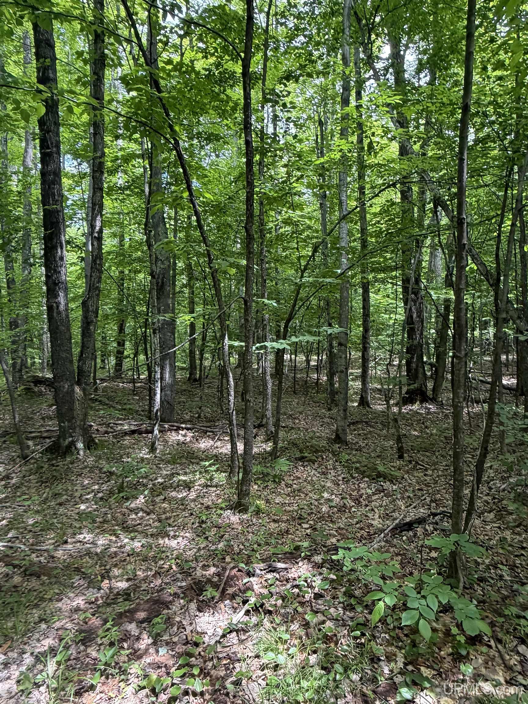 Tbd20 Skanee Road Property Photo 18