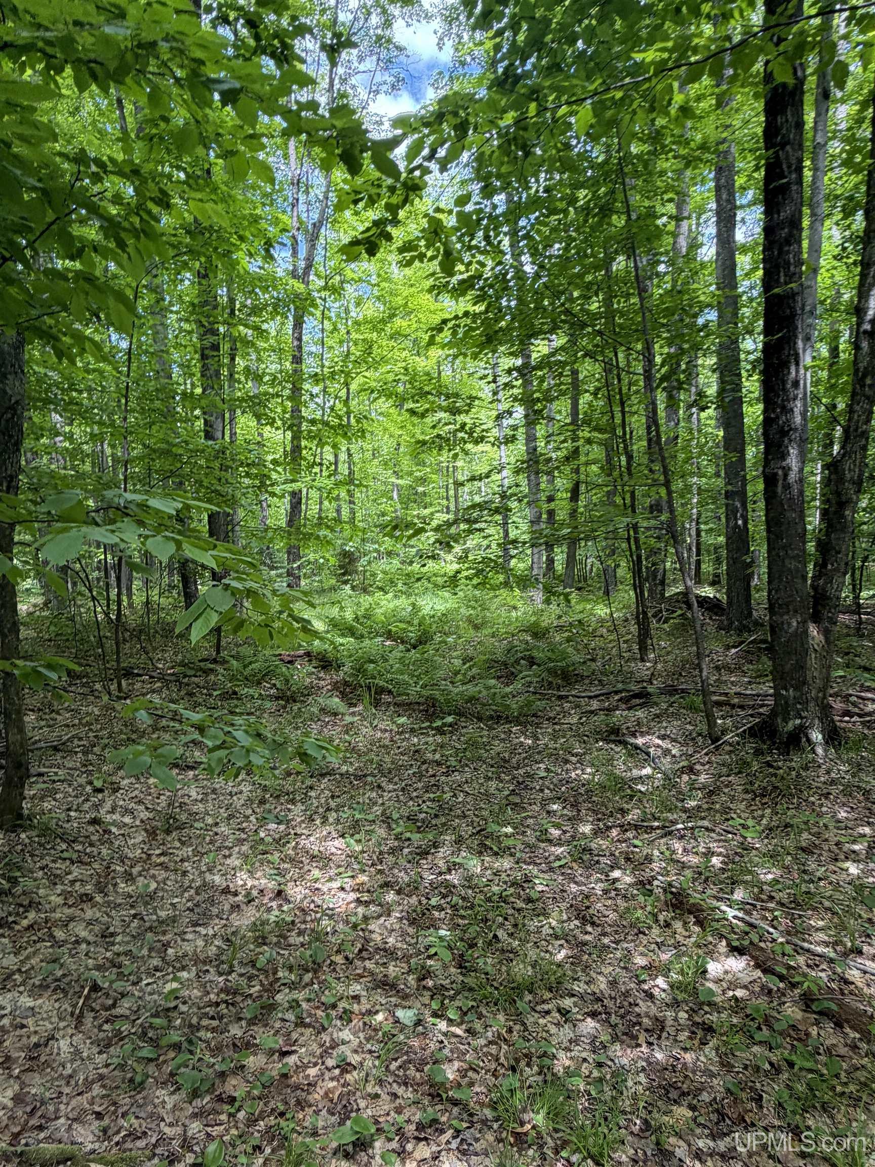 Tbd20 Skanee Road Property Photo 19