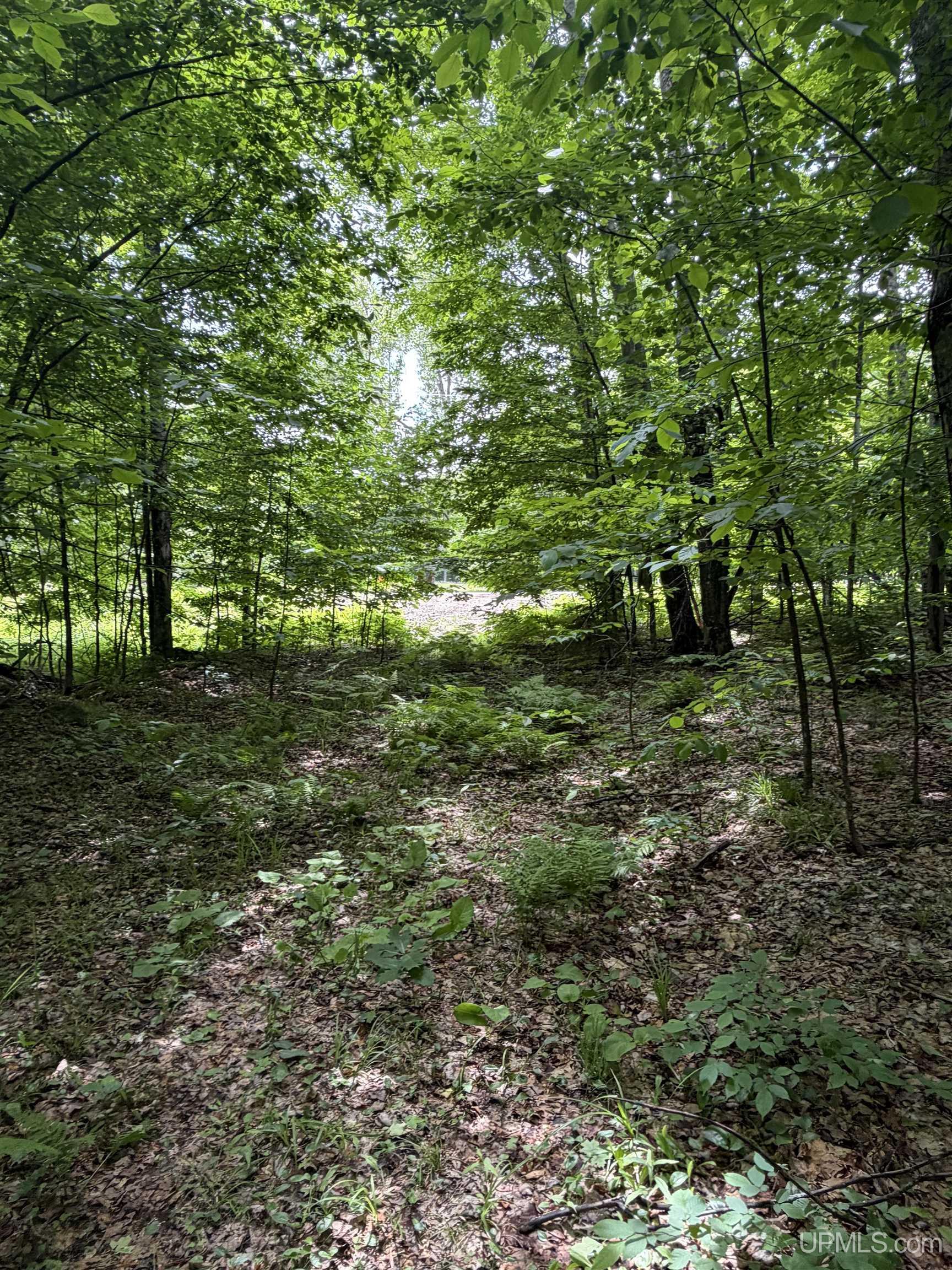 Tbd20 Skanee Road Property Photo 20