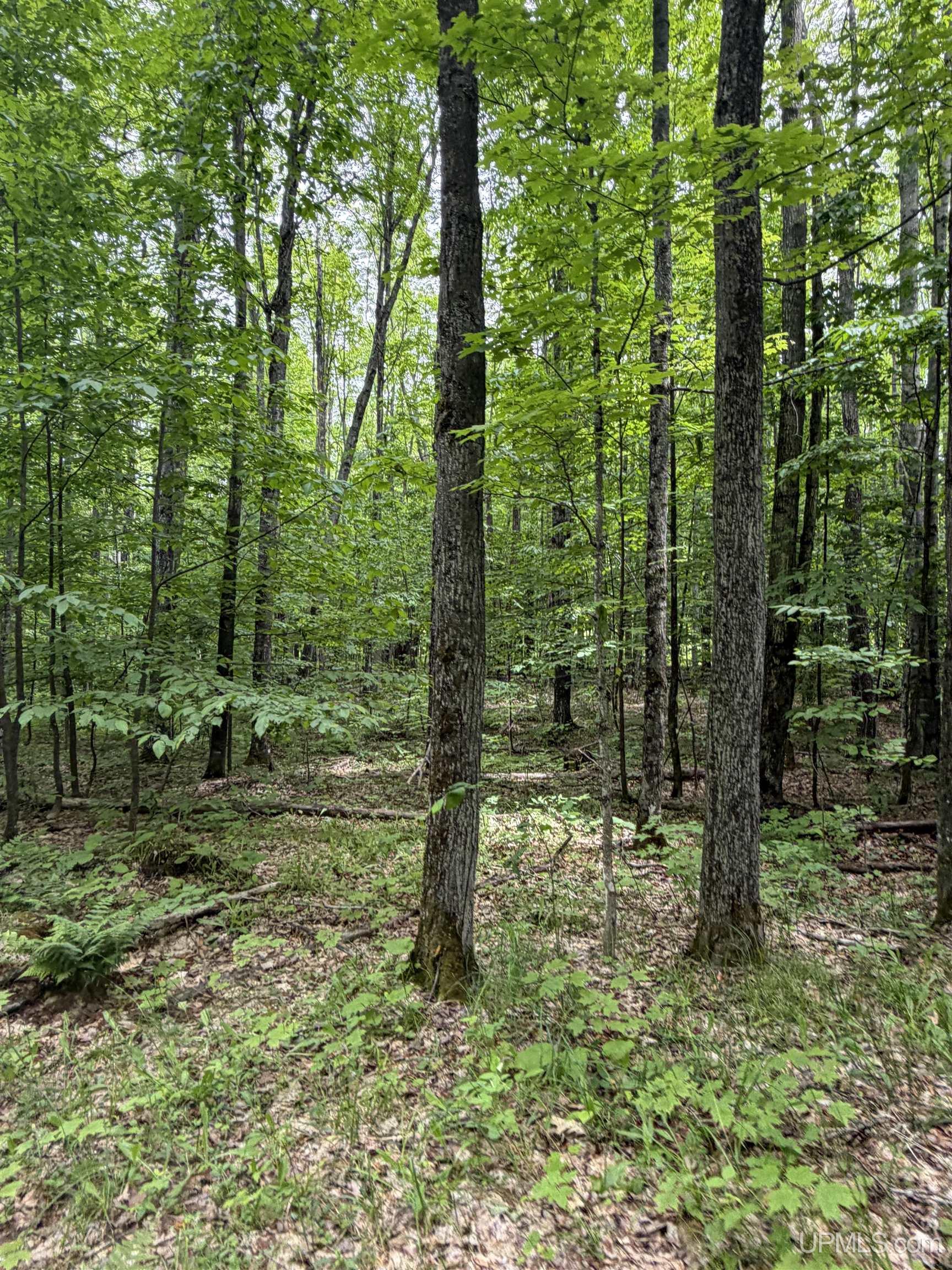 Tbd20 Skanee Road Property Photo 21