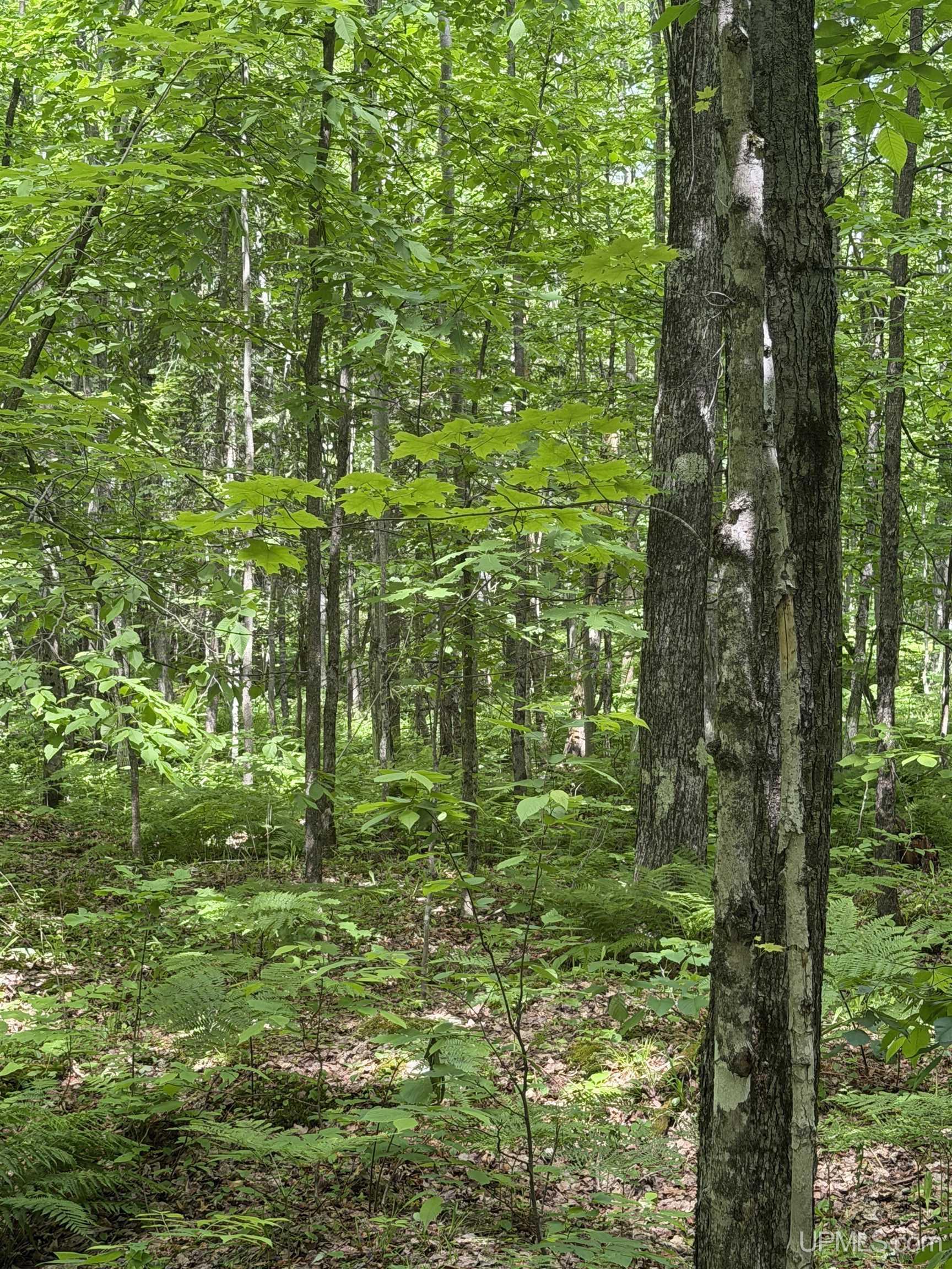 Tbd20 Skanee Road Property Photo 24