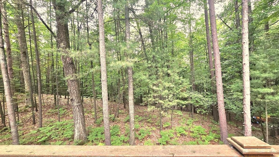 4911 Princess Way Property Photo 17