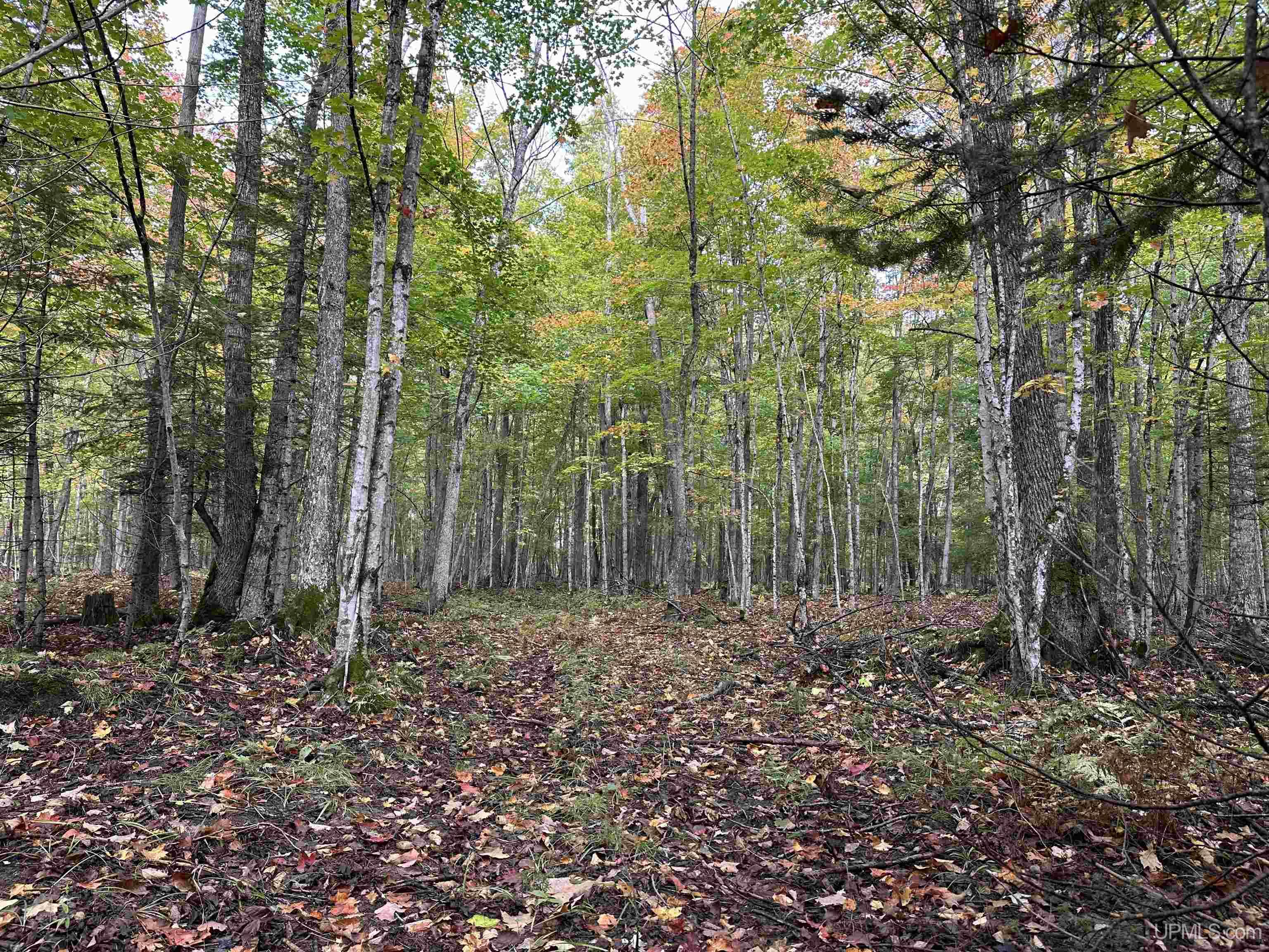 N 6414 Co. Rd. H33 Highway Property Photo 36