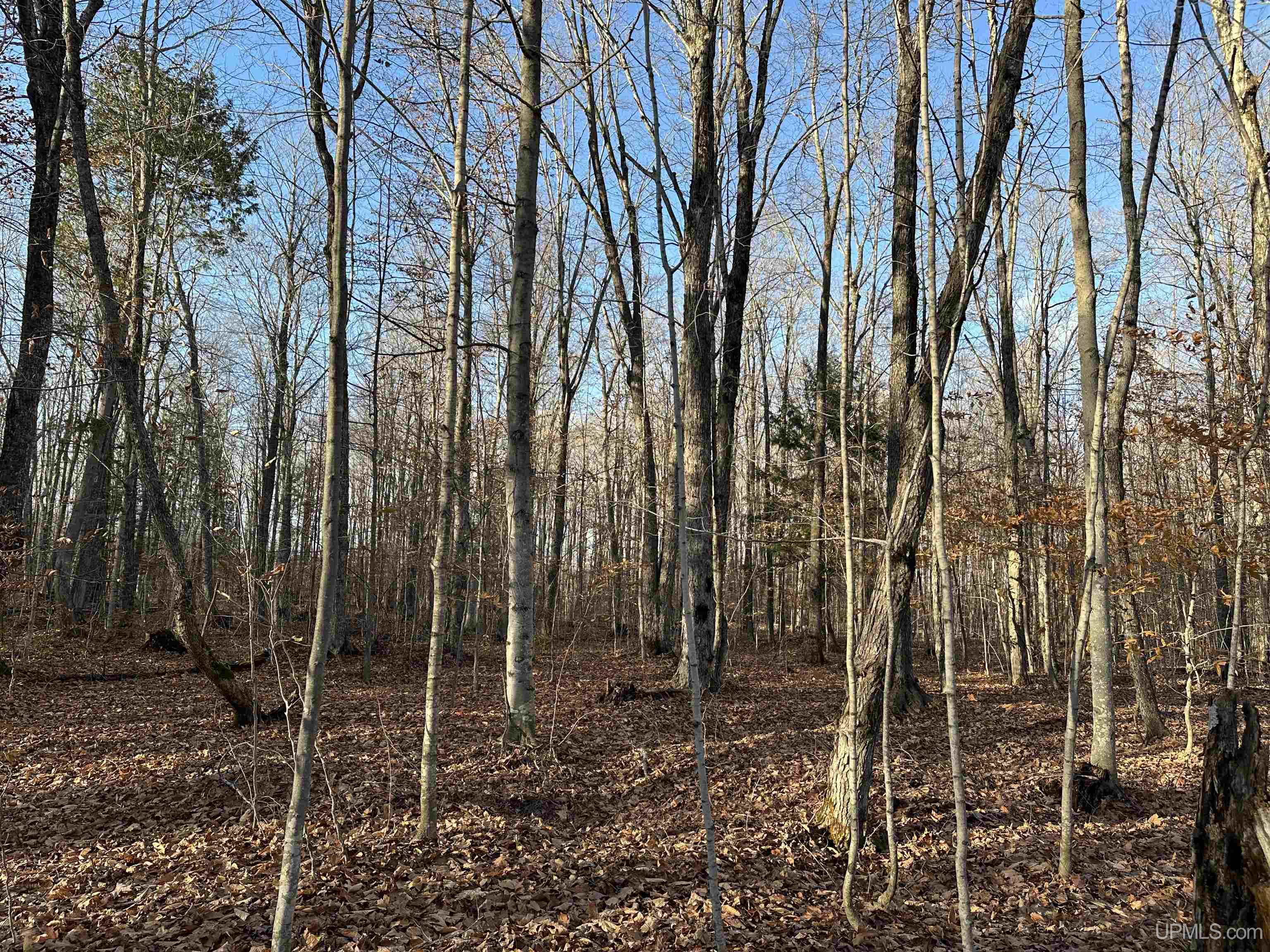 N 6414 Co. Rd. H33 Highway Property Photo 38