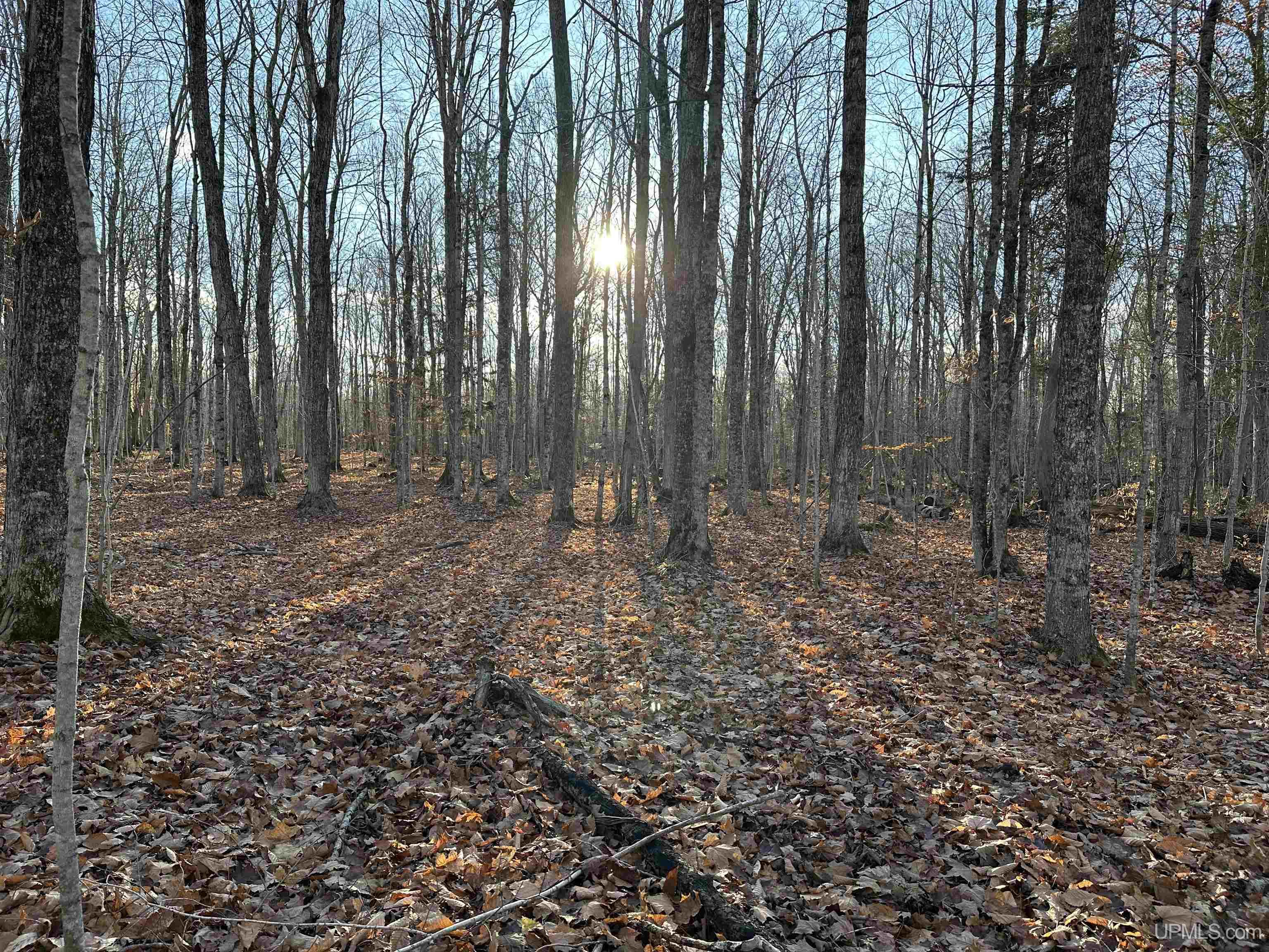 N 6414 Co. Rd. H33 Highway Property Photo 39