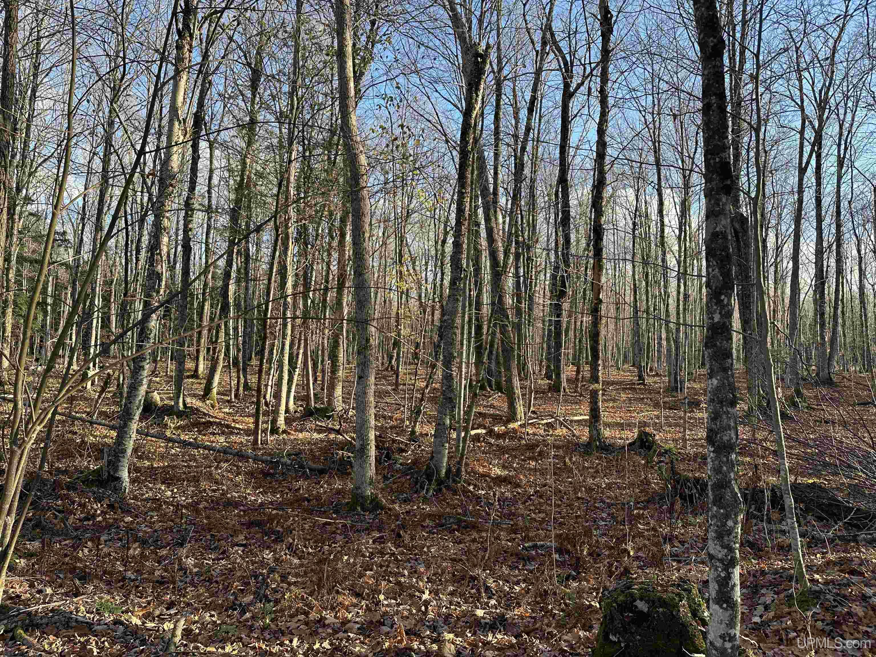 N 6414 Co. Rd. H33 Highway Property Photo 40
