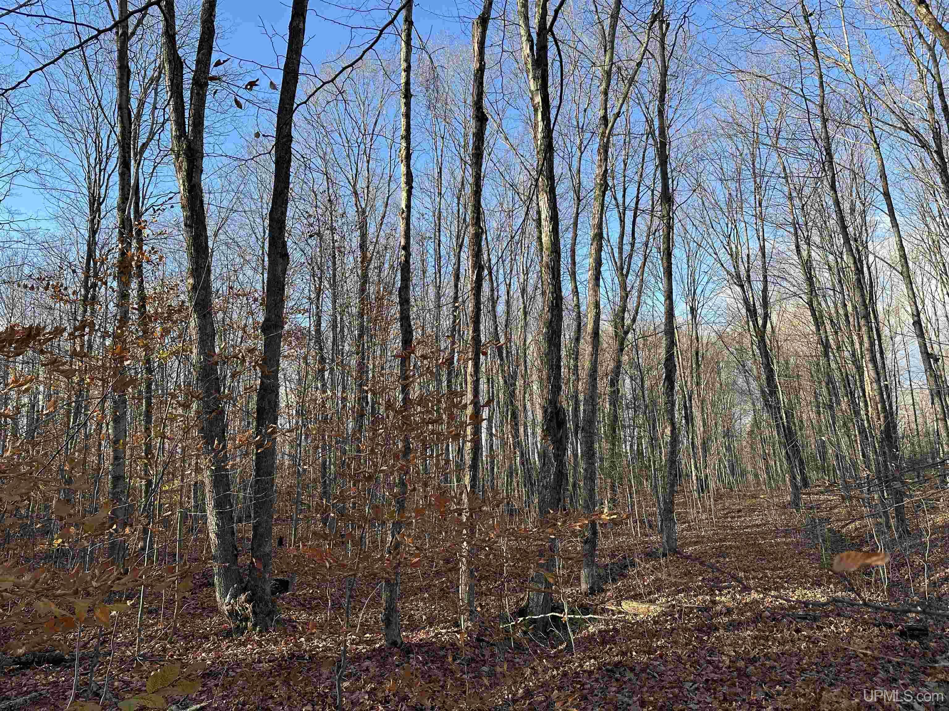 N 6414 Co. Rd. H33 Highway Property Photo 41