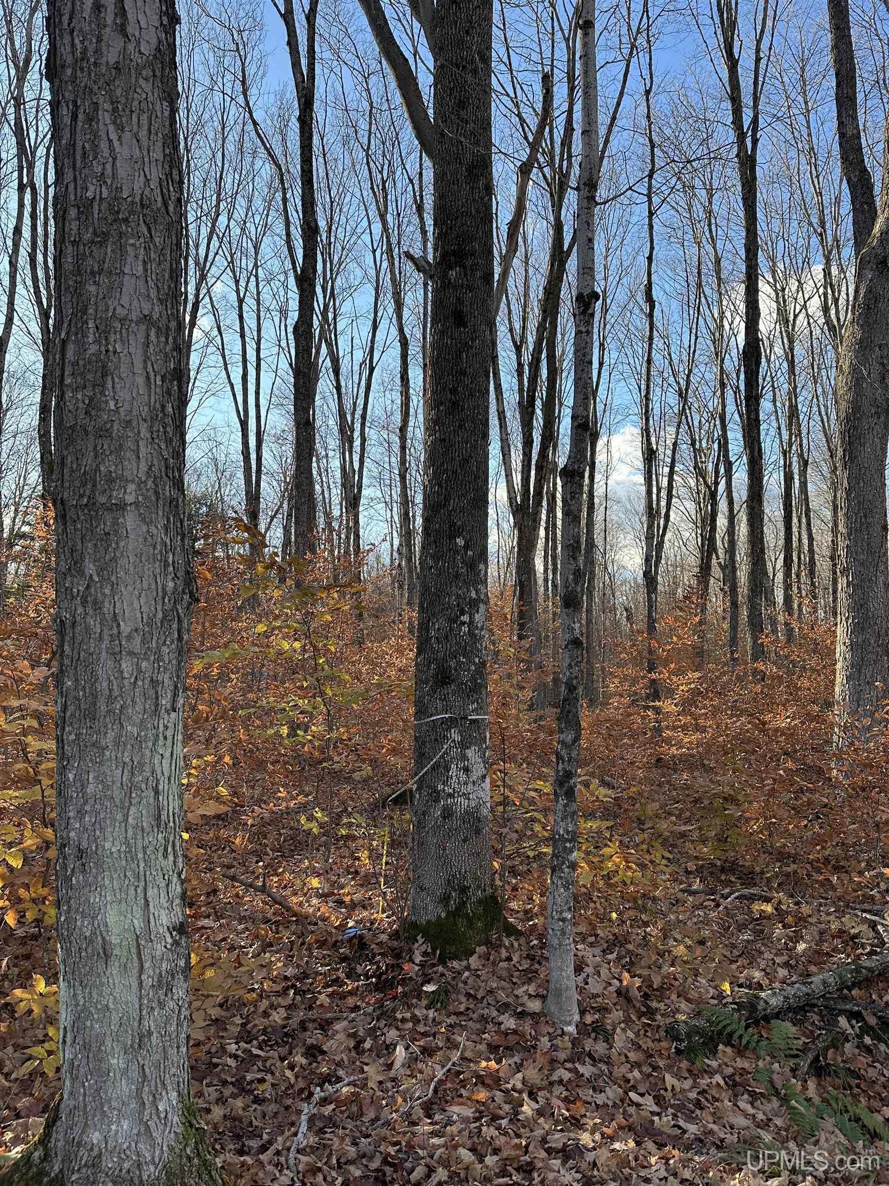 N 6414 Co. Rd. H33 Highway Property Photo 42