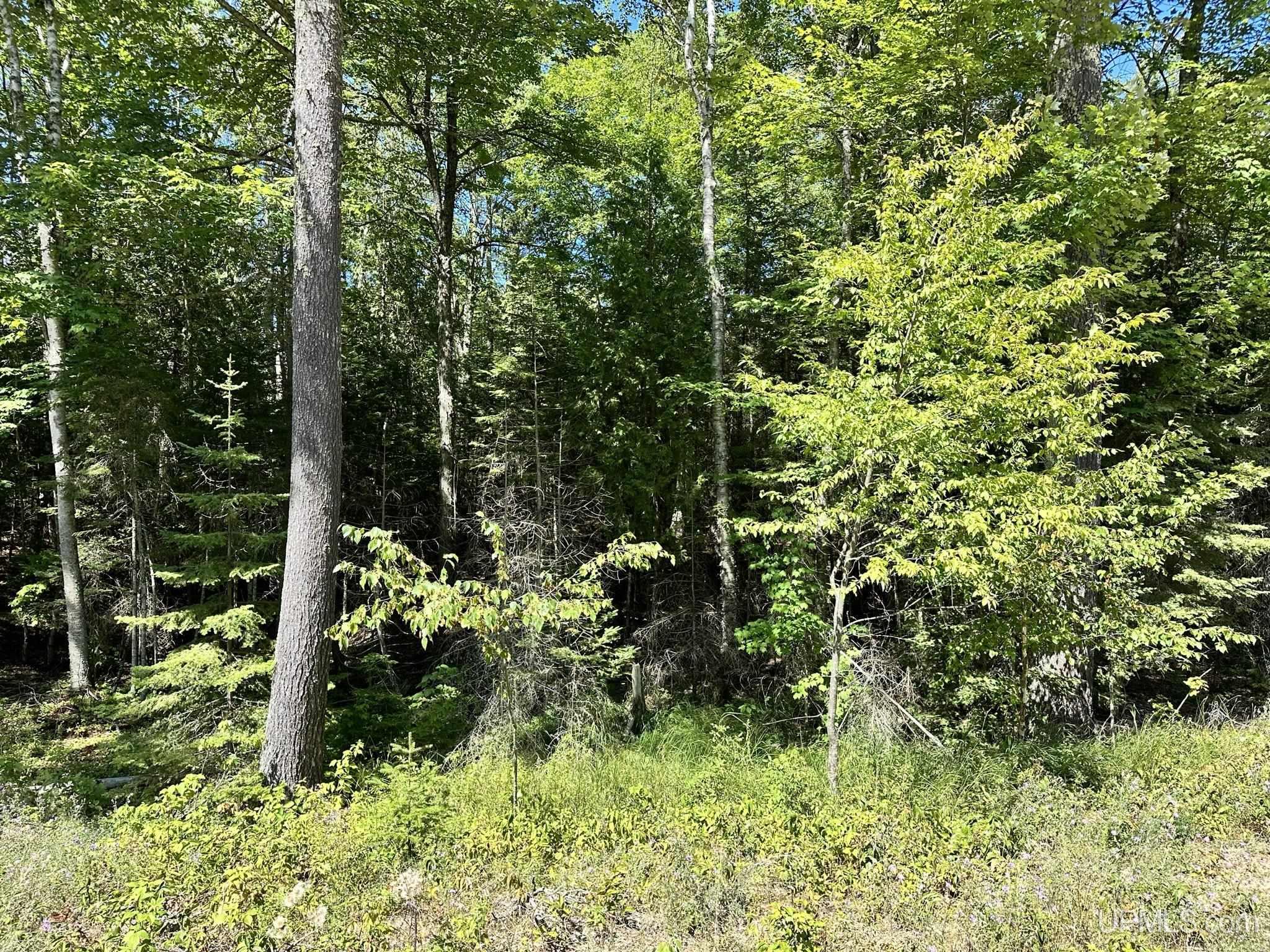 Tbd Hemlock Views Trail Property Photo 1