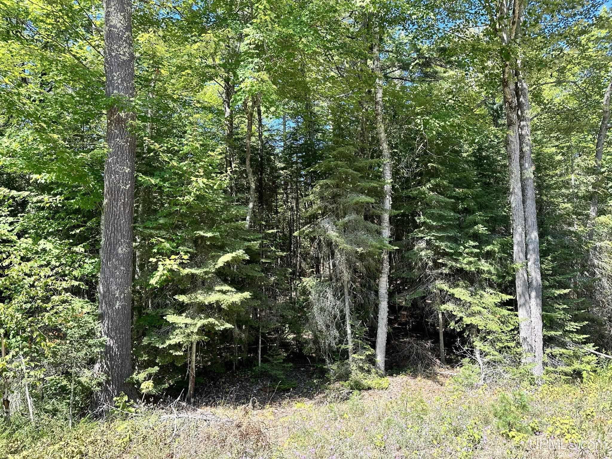 Tbd Hemlock Views Trail Property Photo 2