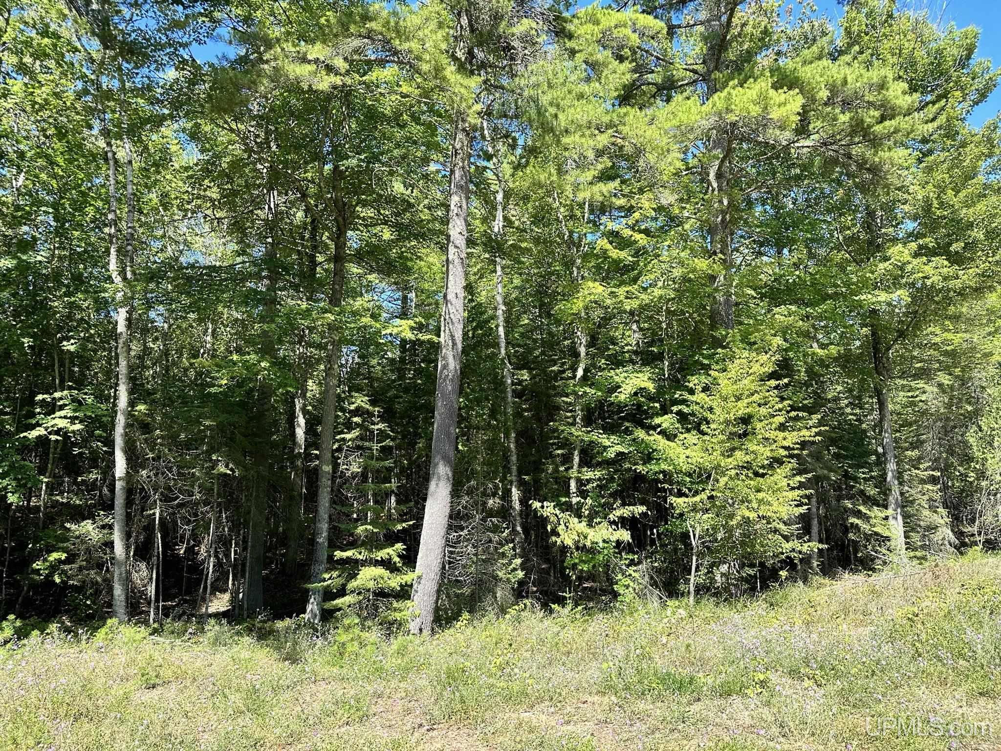 Tbd Hemlock Views Trail Property Photo 3