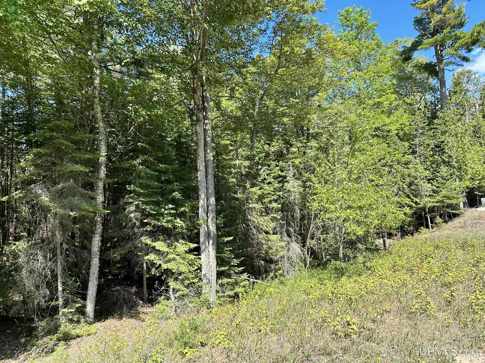 Tbd Hemlock Views Trail Property Photo 4