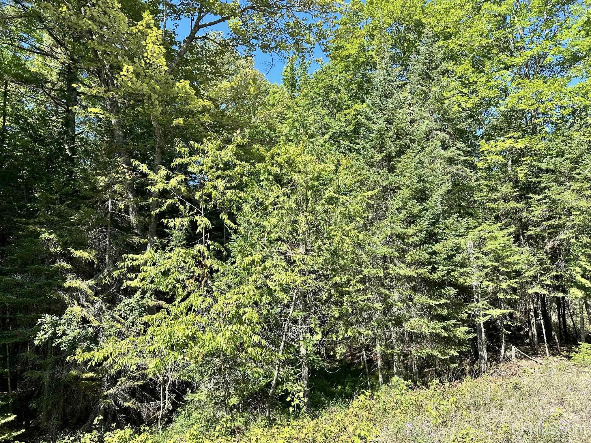 Tbd Hemlock Views Trail Property Photo 5