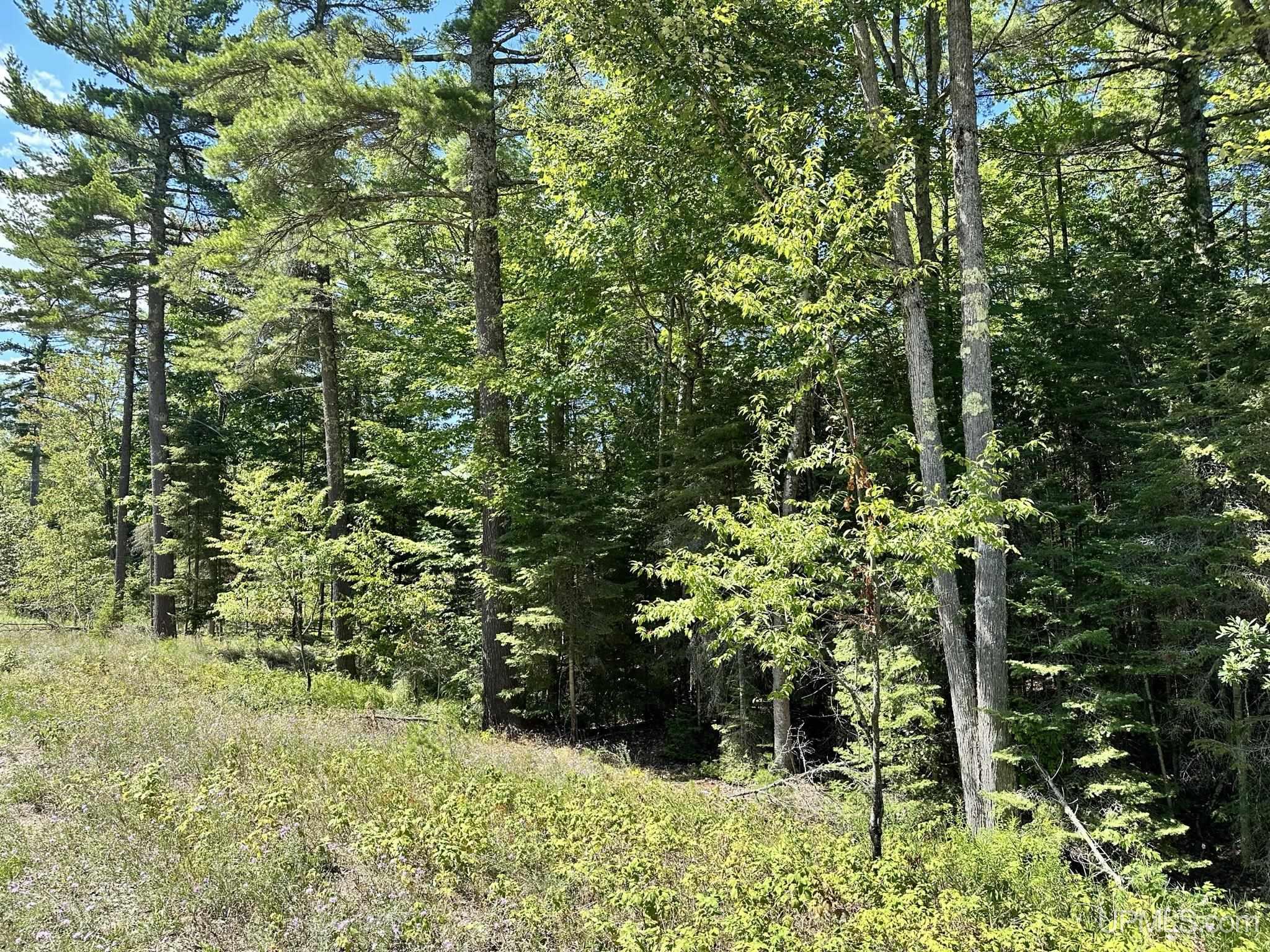 Tbd Hemlock Views Trail Property Photo 6