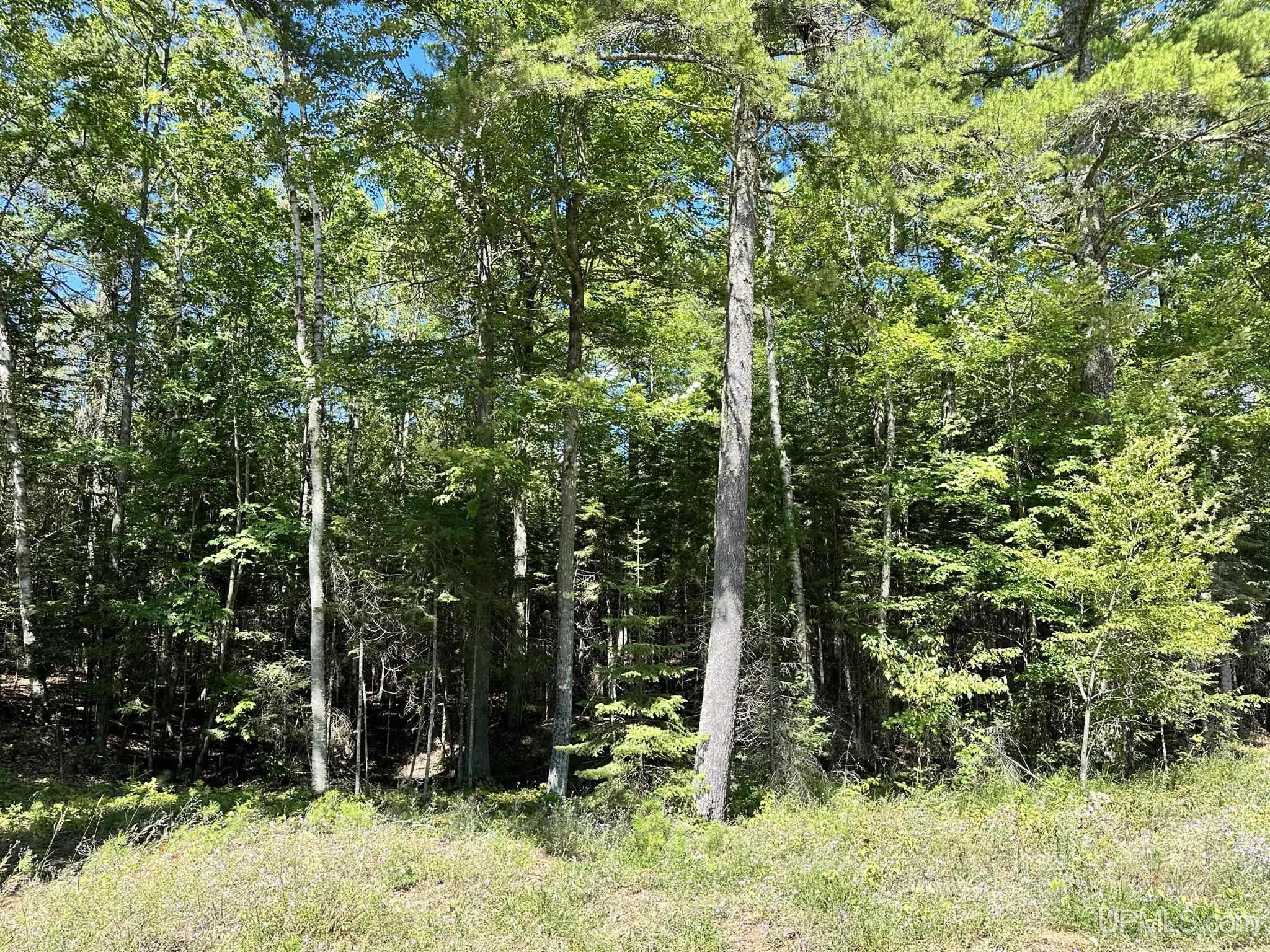 Tbd Hemlock Views Trail Property Photo 7