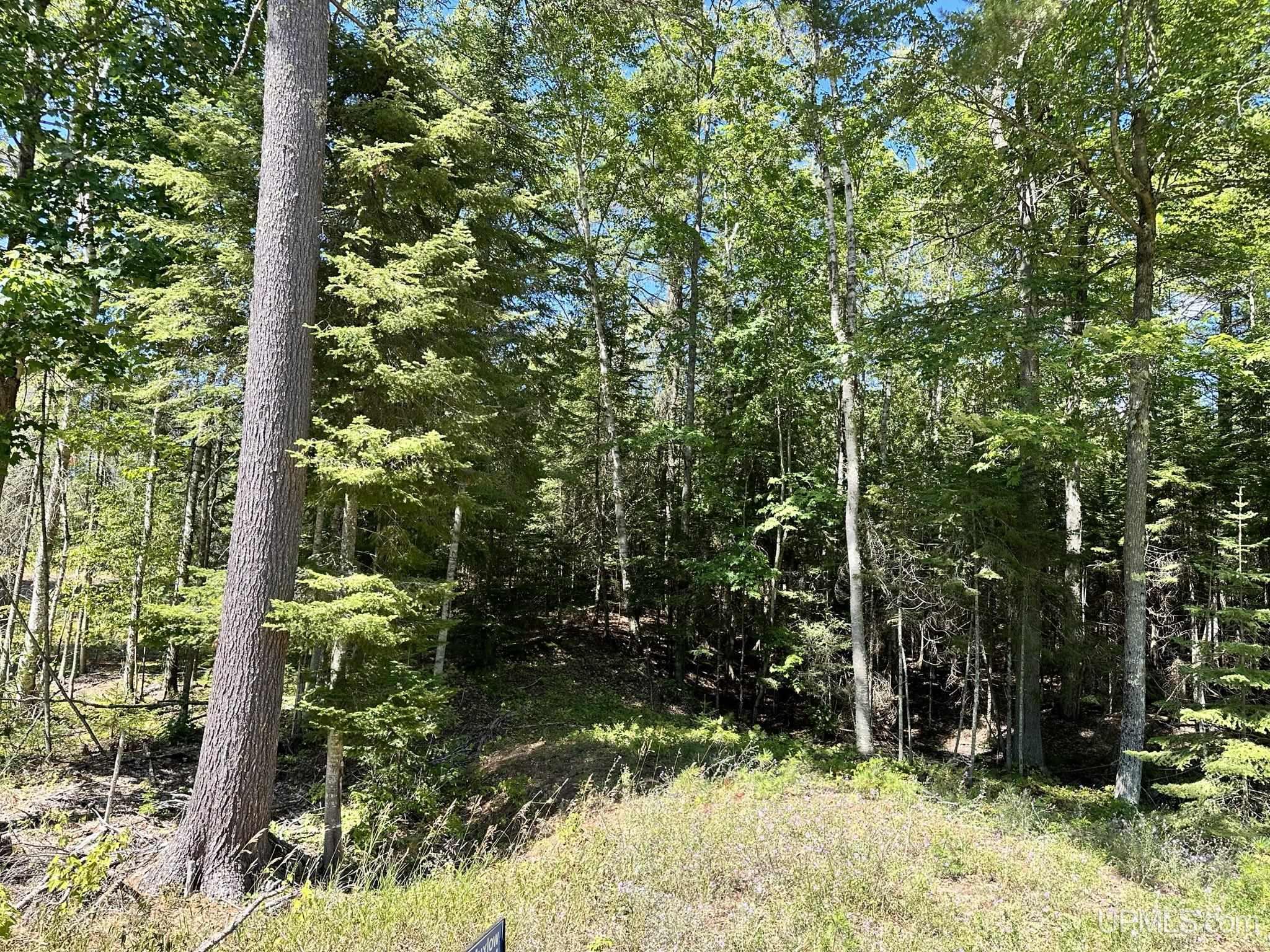 Tbd Hemlock Views Trail Property Photo 8
