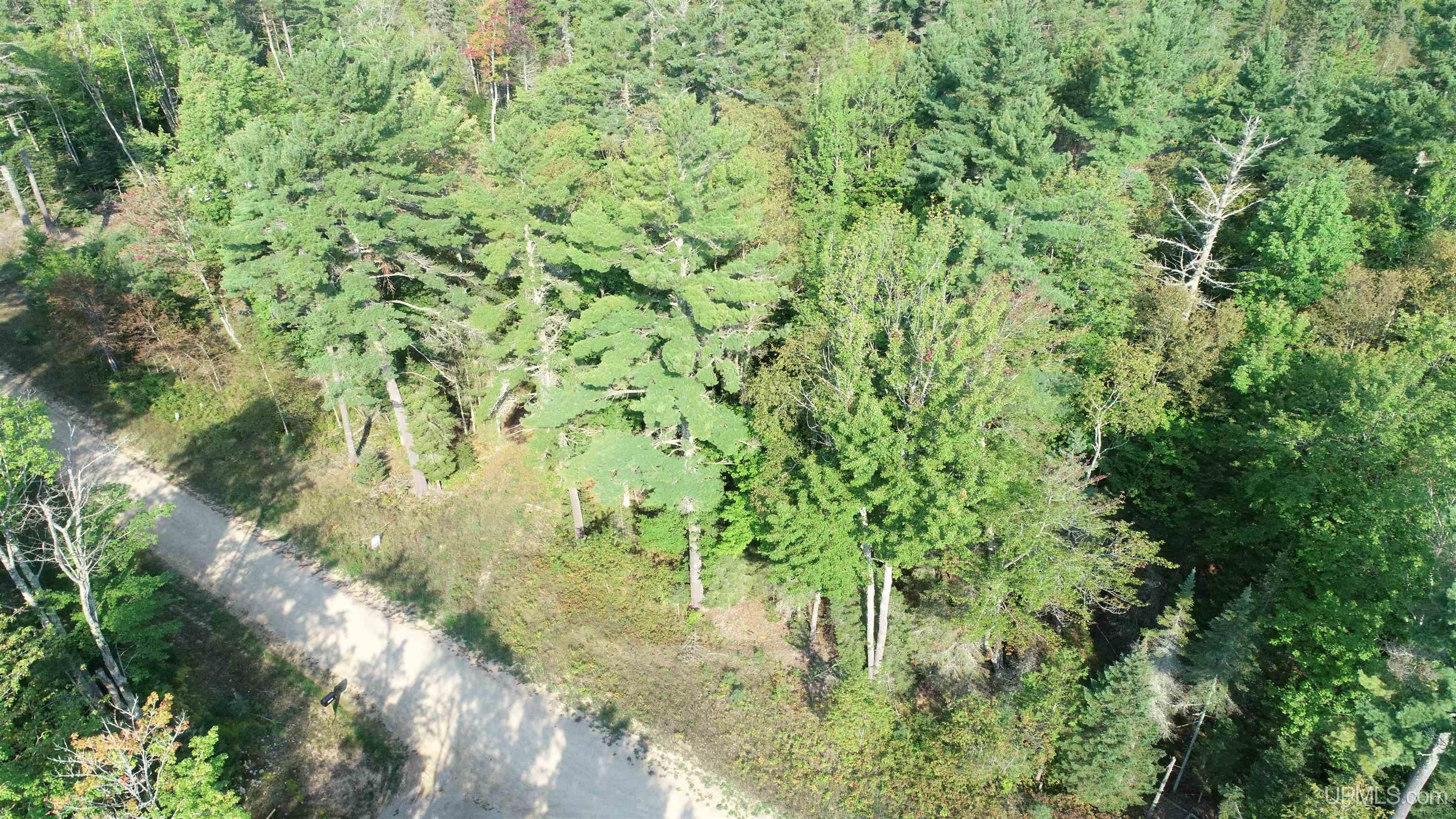 Tbd Hemlock Views Trail Property Photo 9