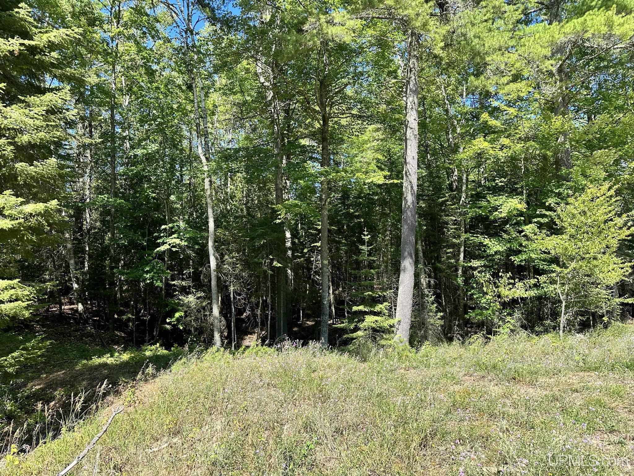 Tbd Hemlock Views Trail Property Photo 12