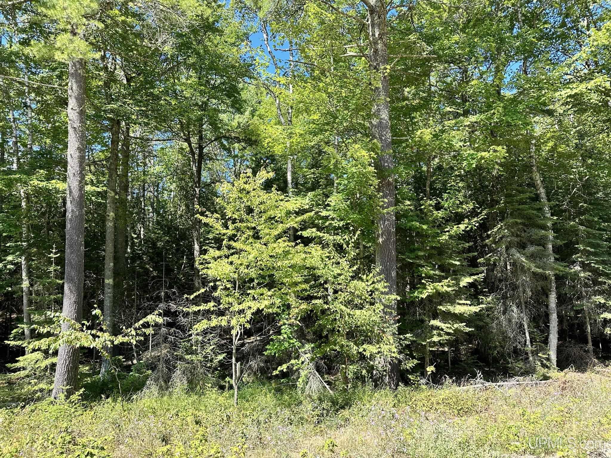 Tbd Hemlock Views Trail Property Photo 14