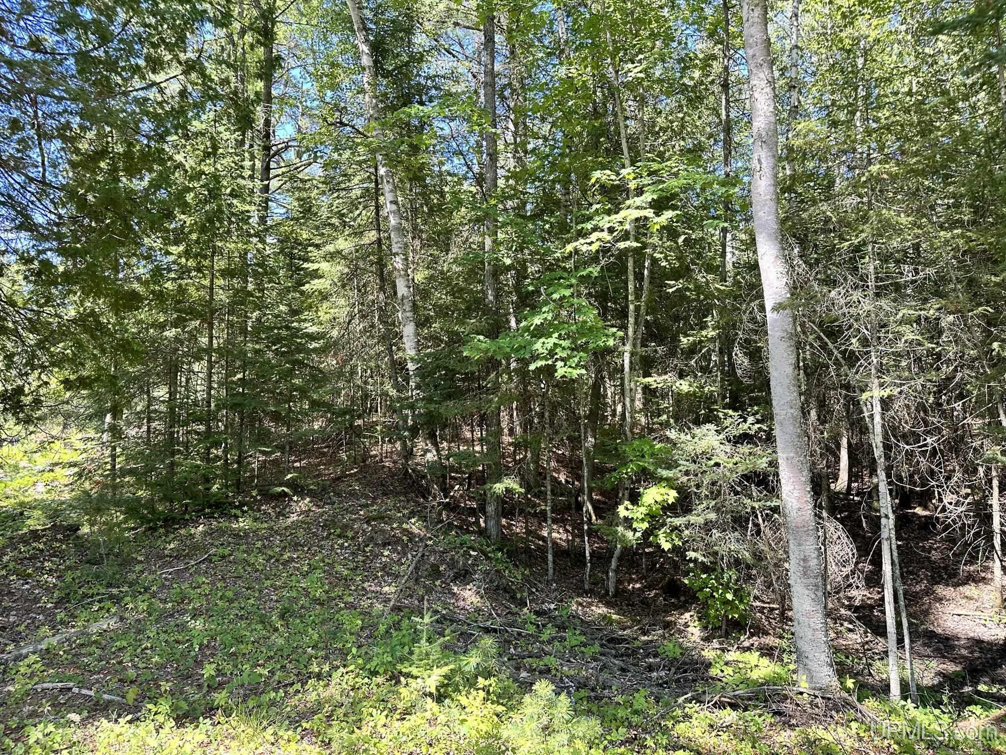 Tbd Hemlock Views Trail Property Photo 15