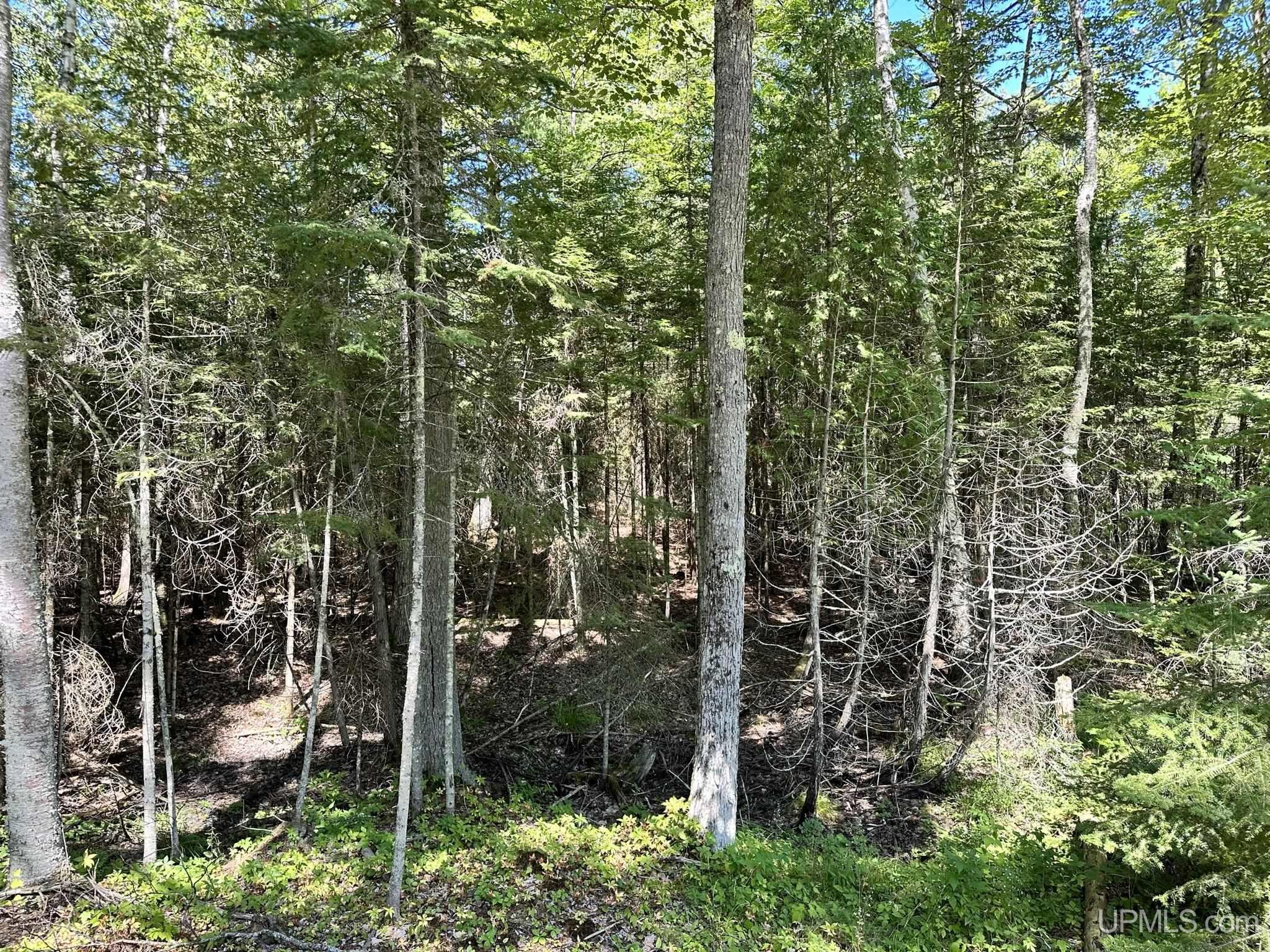 Tbd Hemlock Views Trail Property Photo 16