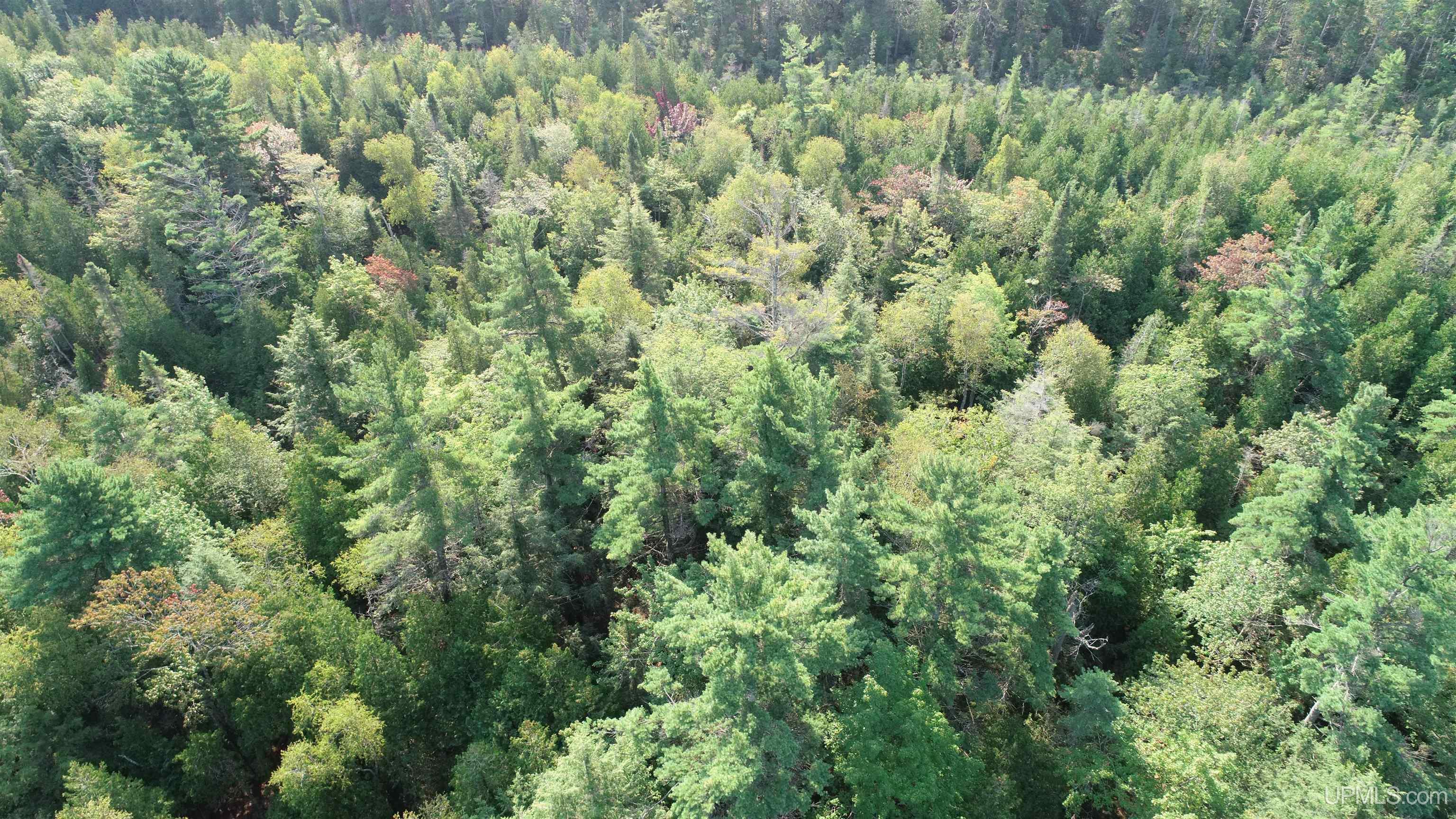 Tbd Hemlock Views Trail Property Photo 24