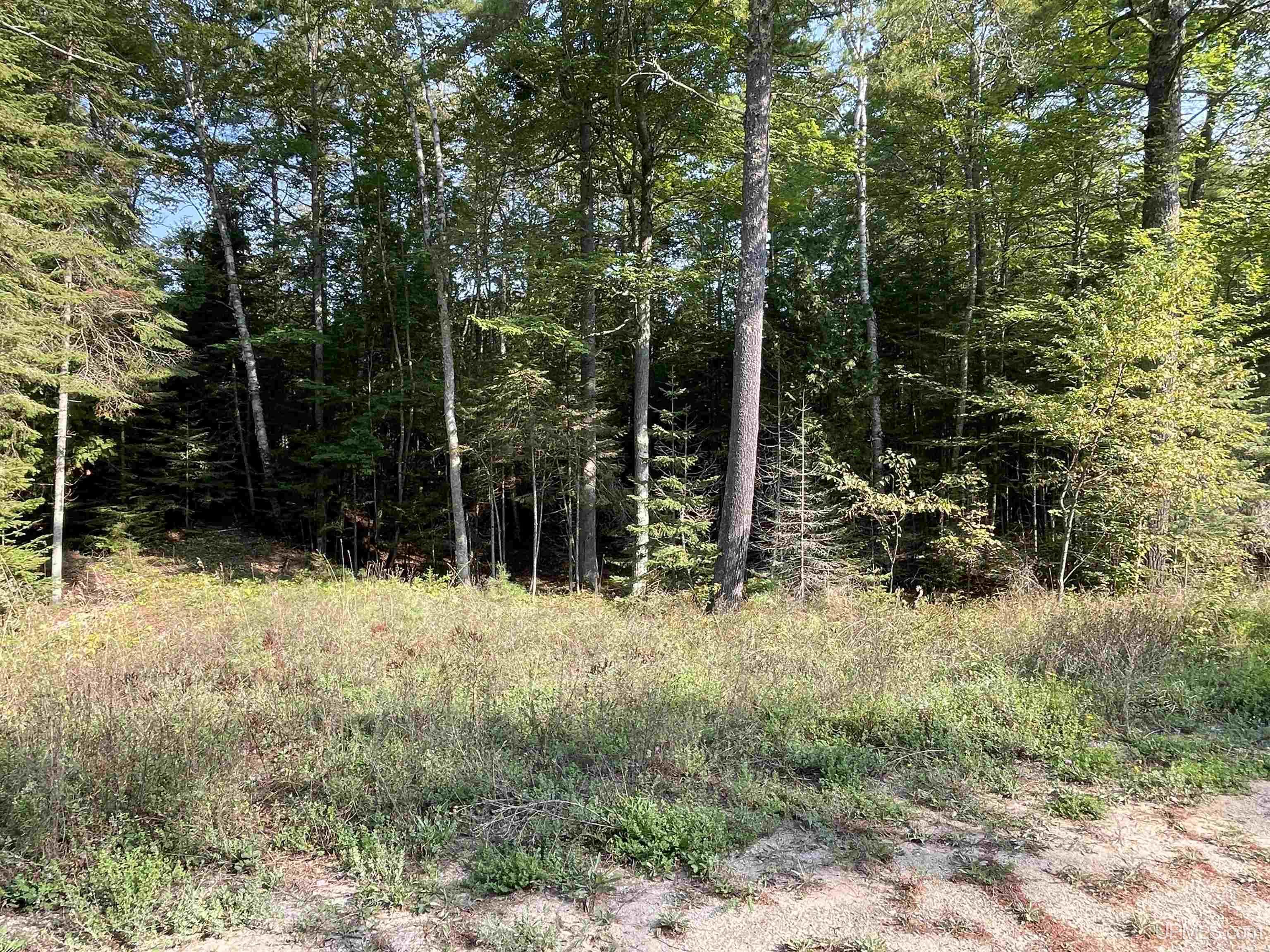 Tbd Hemlock Views Trail Property Photo 35