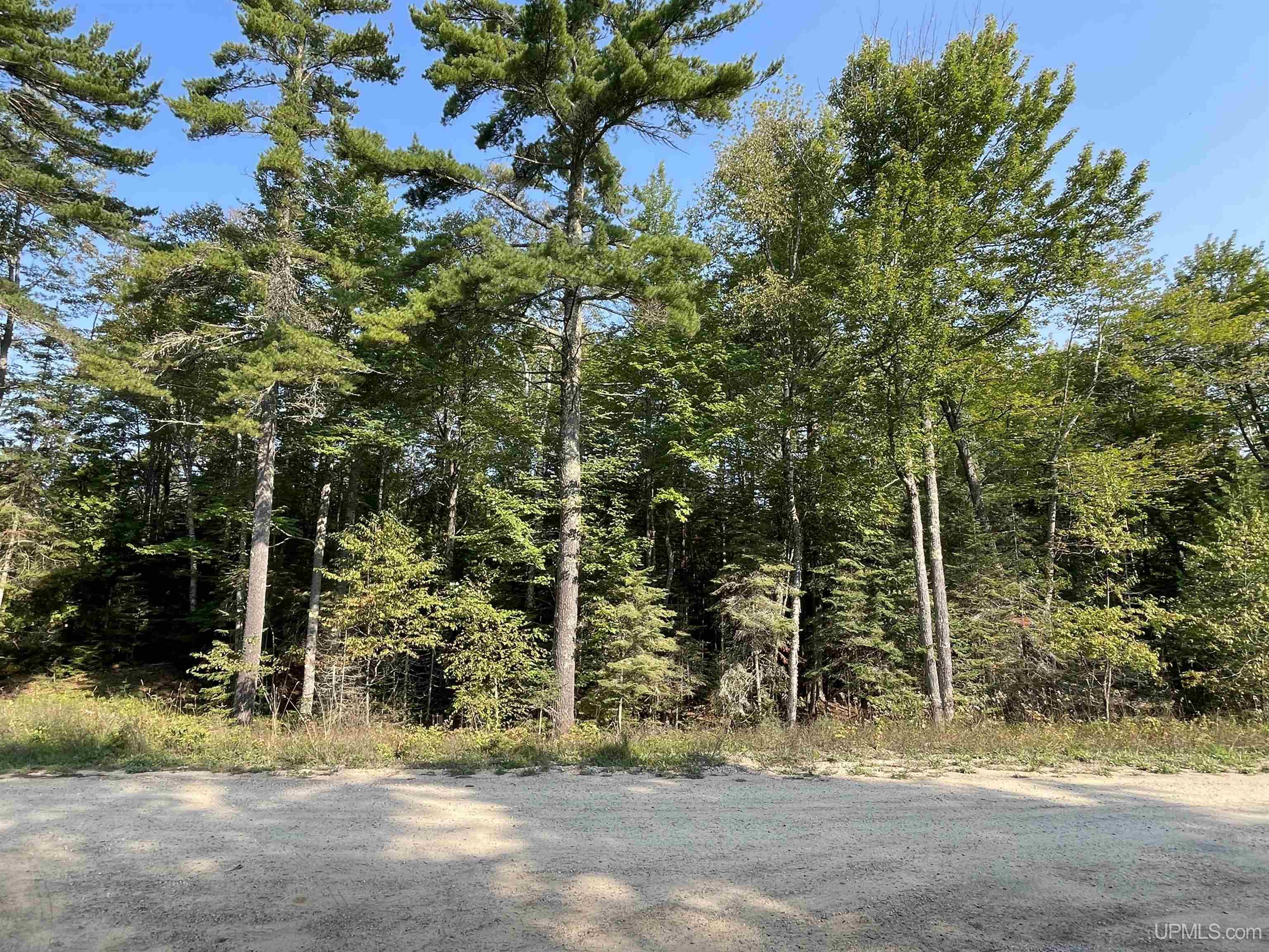 Tbd Hemlock Views Trail Property Photo 37