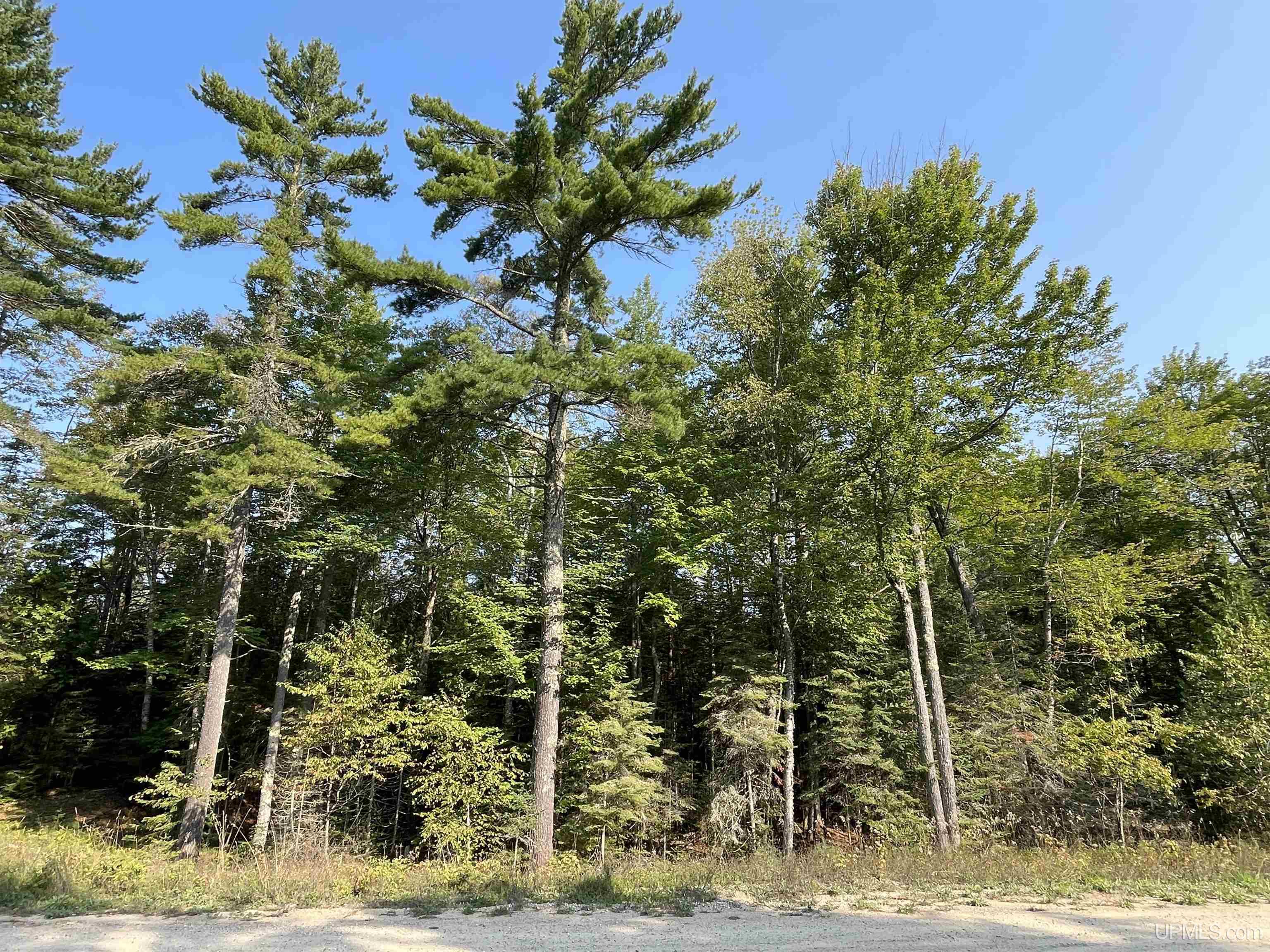 Tbd Hemlock Views Trail Property Photo 38