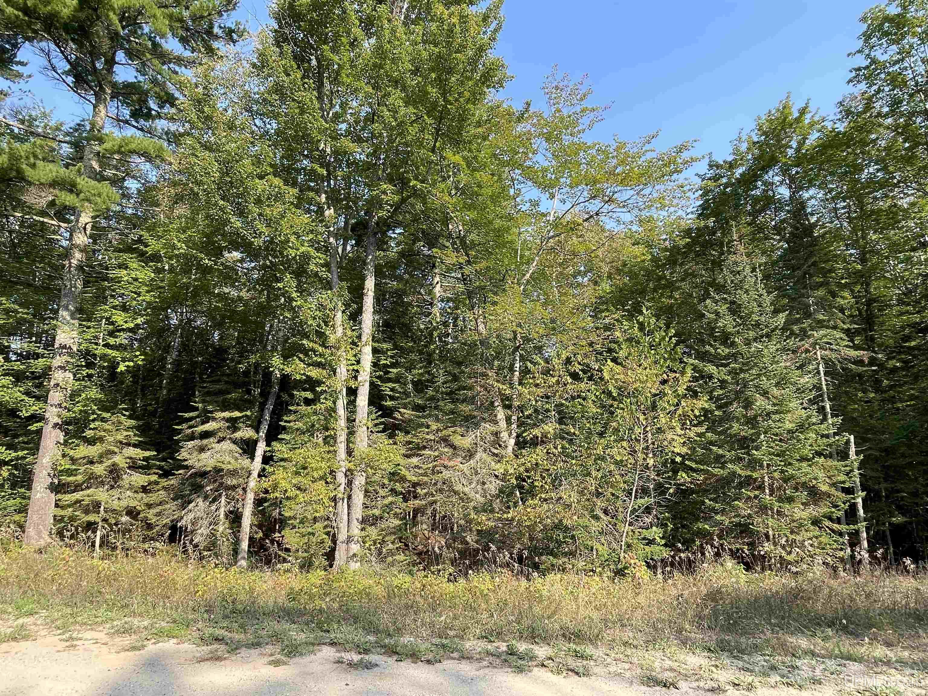 Tbd Hemlock Views Trail Property Photo 39