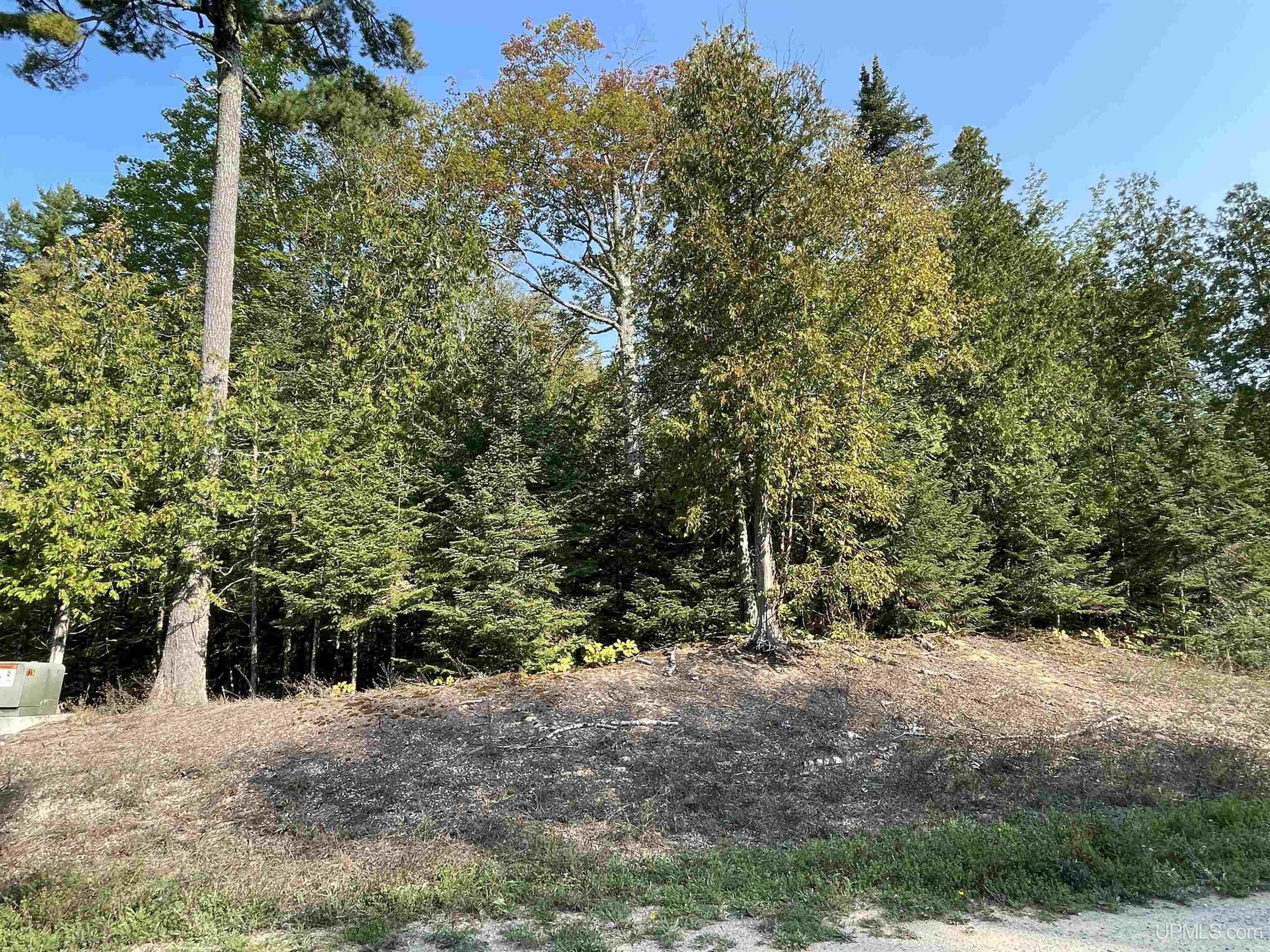 Tbd Hemlock Views Trail Property Photo 41