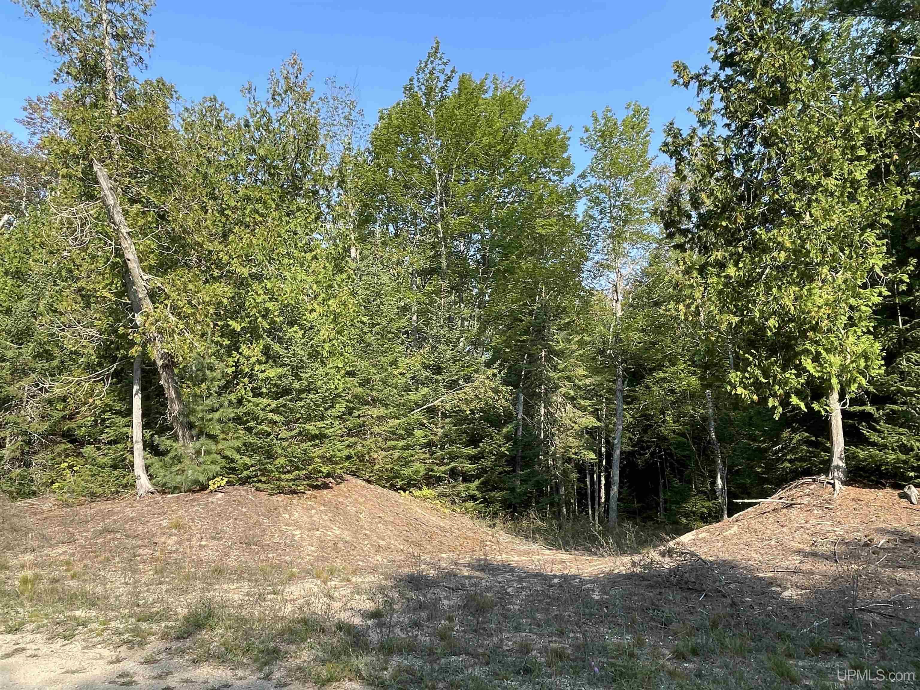Tbd Hemlock Views Trail Property Photo 43
