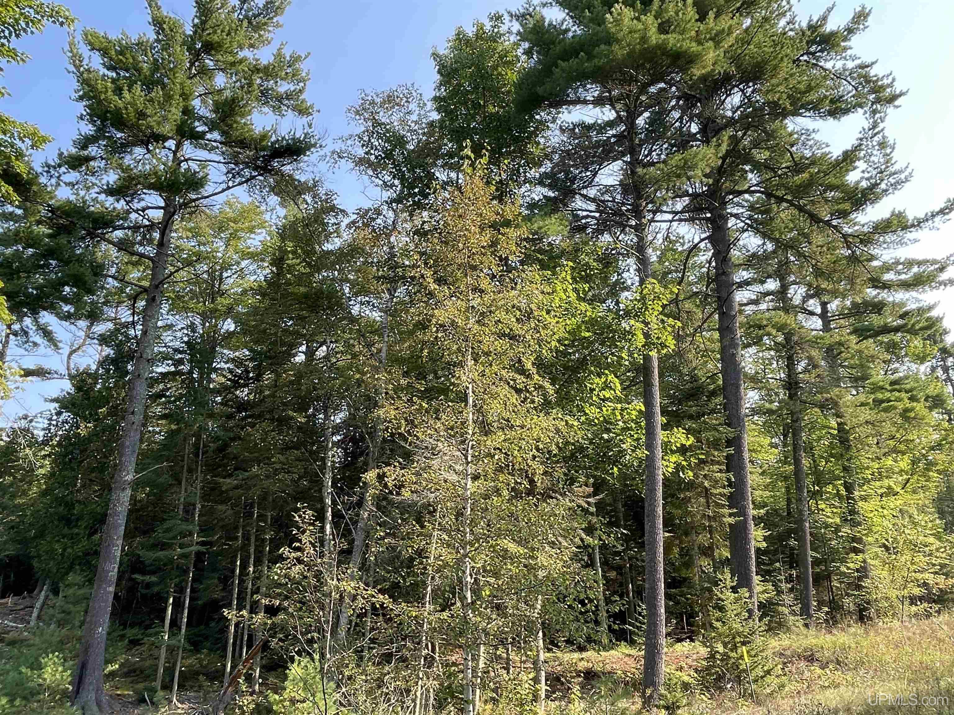 Tbd Hemlock Views Trail Property Photo 45