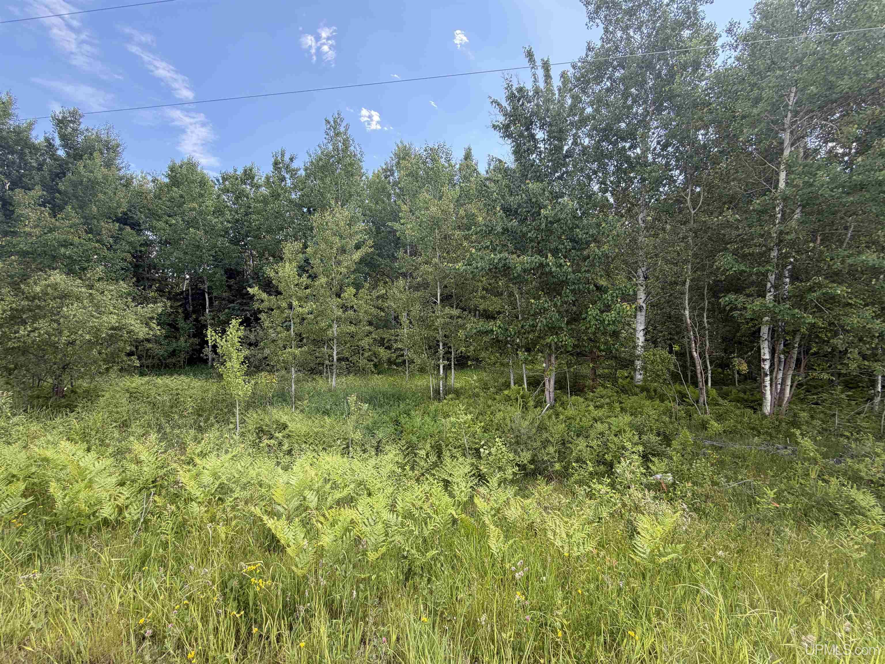 Parcel C Bellaire Road Property Photo 3