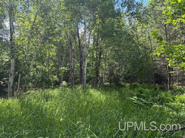 Parcel C Bellaire Road Property Photo 6