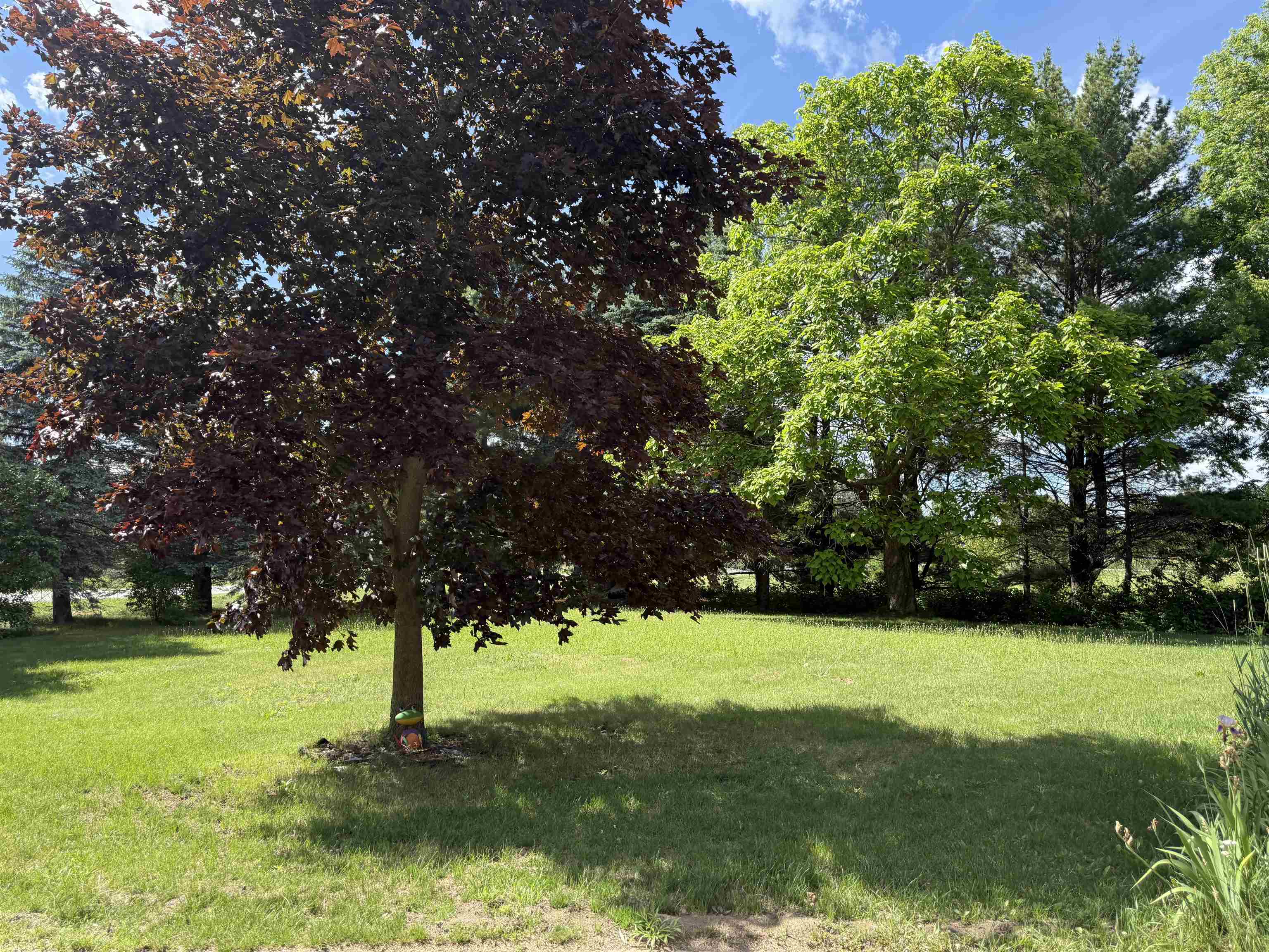 9749 Bell Road Property Photo 2