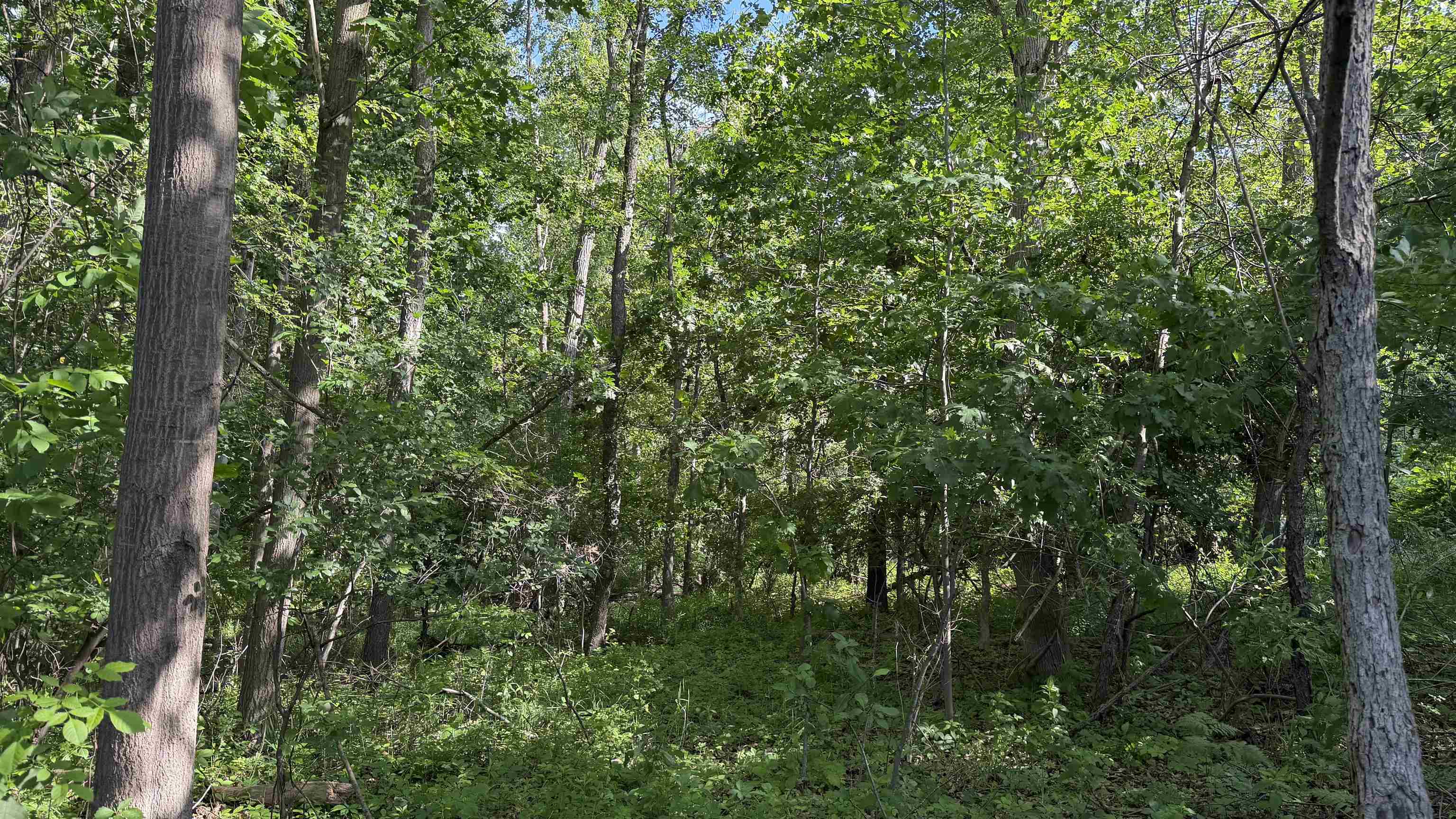 Vl E Gordonville Road Property Photo 4
