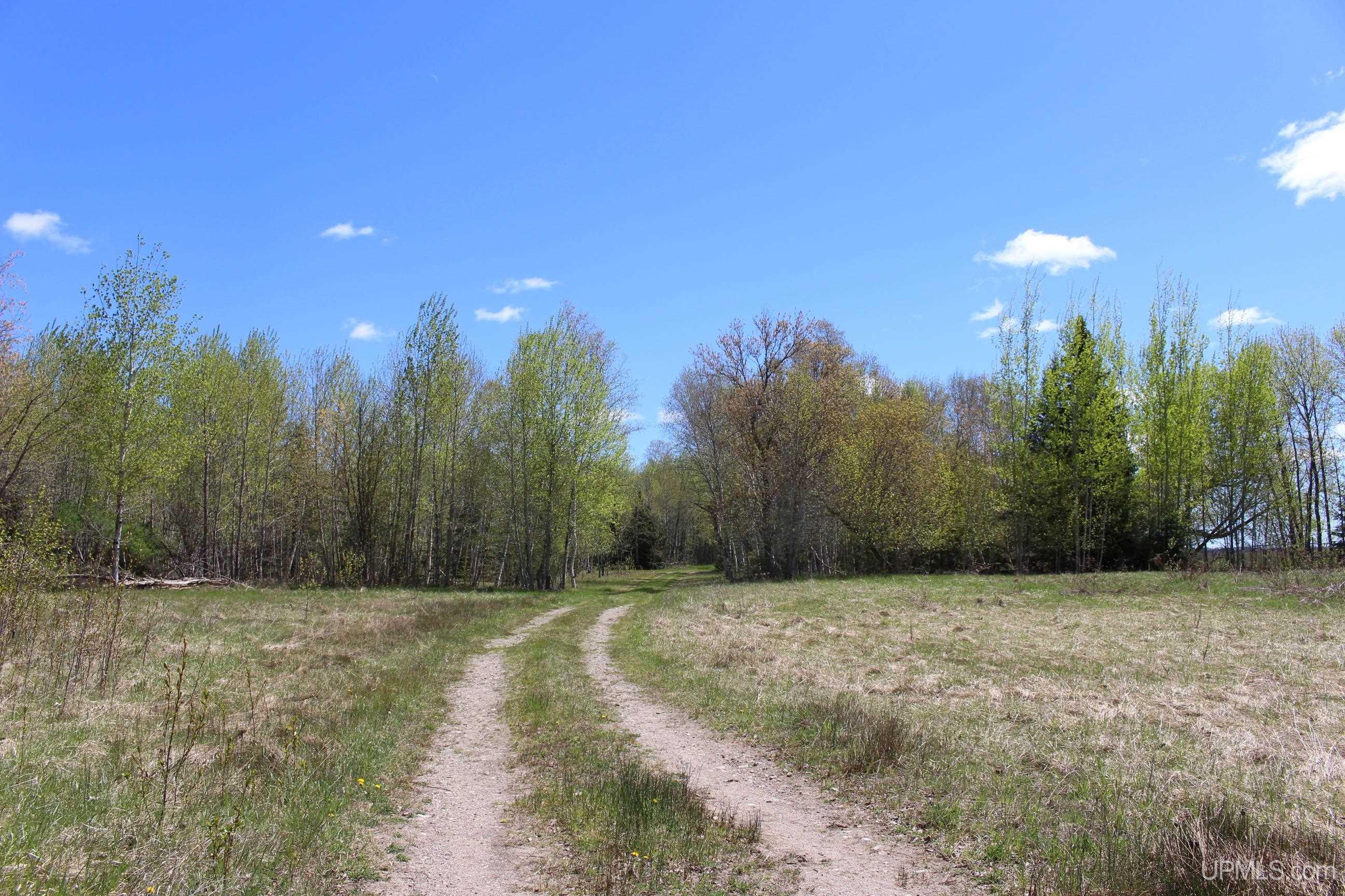 Tbd 23.5 Road Property Photo 4