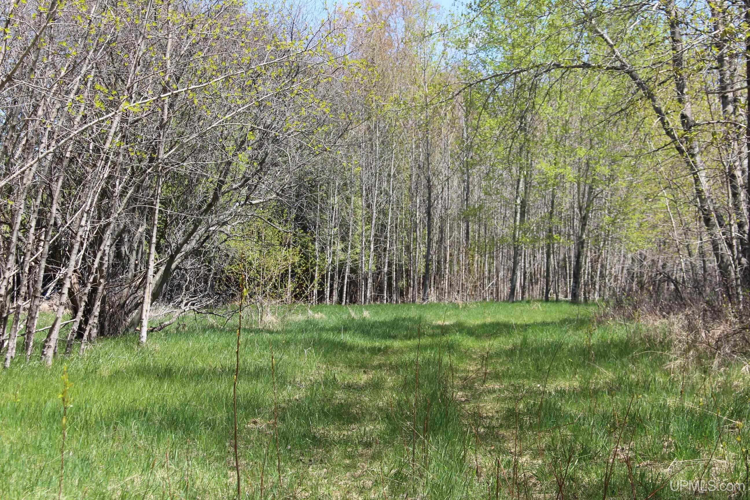 Tbd 23.5 Road Property Photo 35