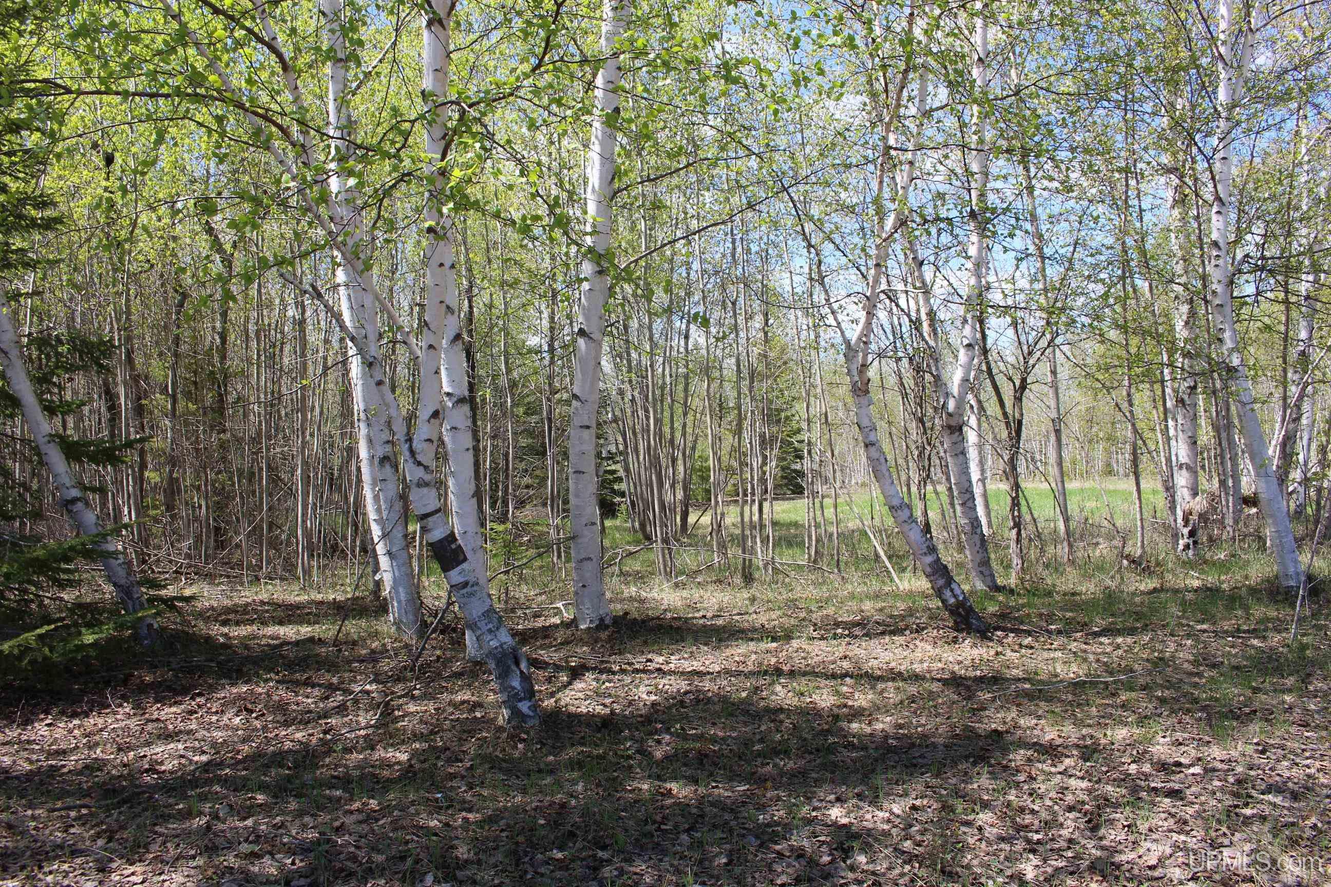 Tbd 23.5 Road Property Photo 49